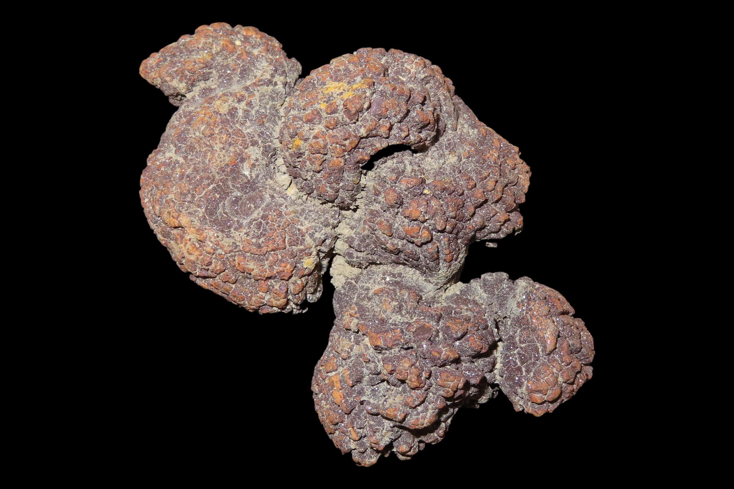 Large Dinosaur Poop Fossil, Coprolite, Appr. 100 Million Years old Fossilized Dino Dung, Great Well Formed Example!