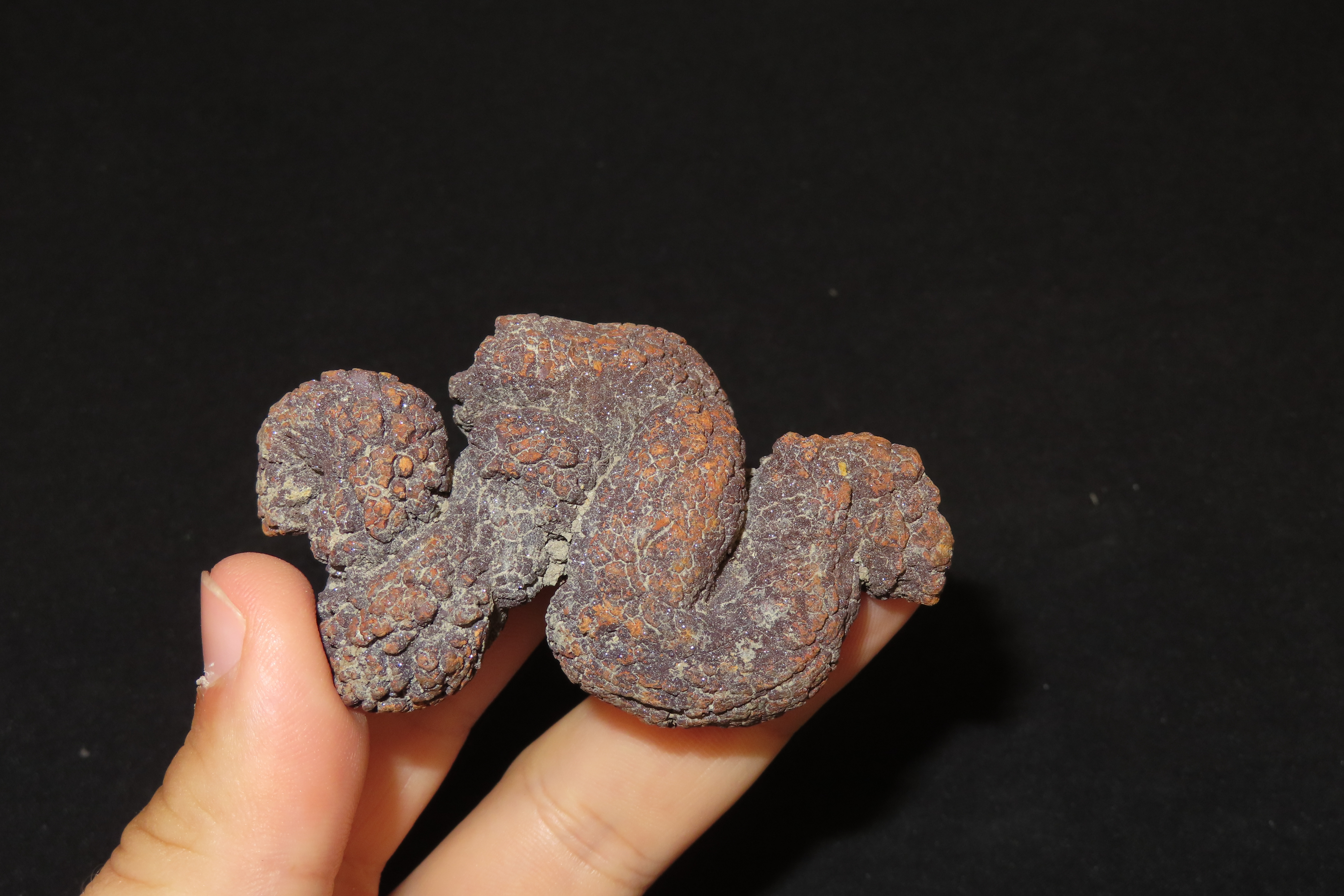 Large Dinosaur Poop Fossil, Coprolite, Appr. 100 Million Years old Fossilized Dino Dung, Great Well Formed Example!