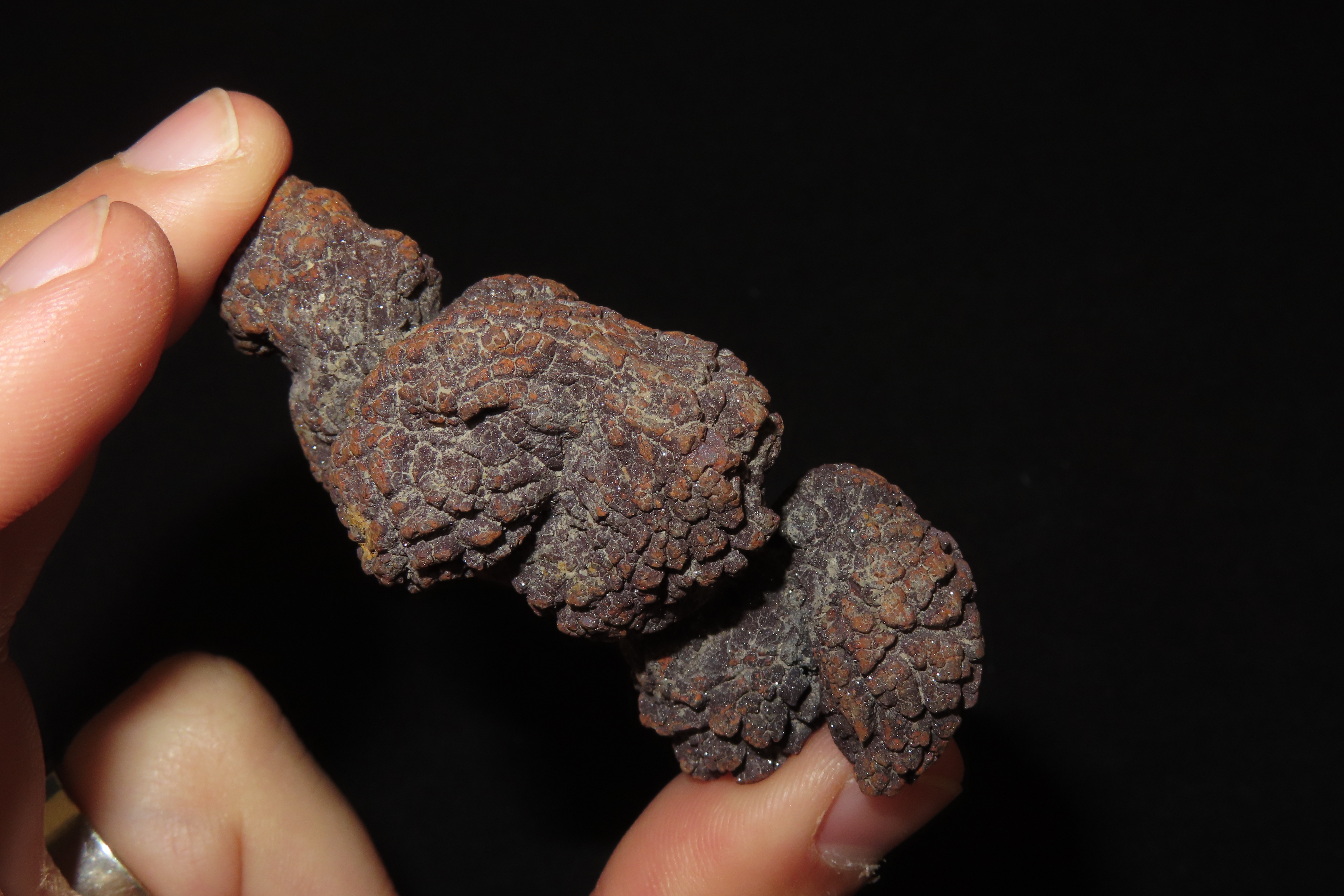 Large Dinosaur Poop Fossil, Coprolite, Appr. 100 Million Years old Fossilized Dino Dung, Great Well Formed Example!
