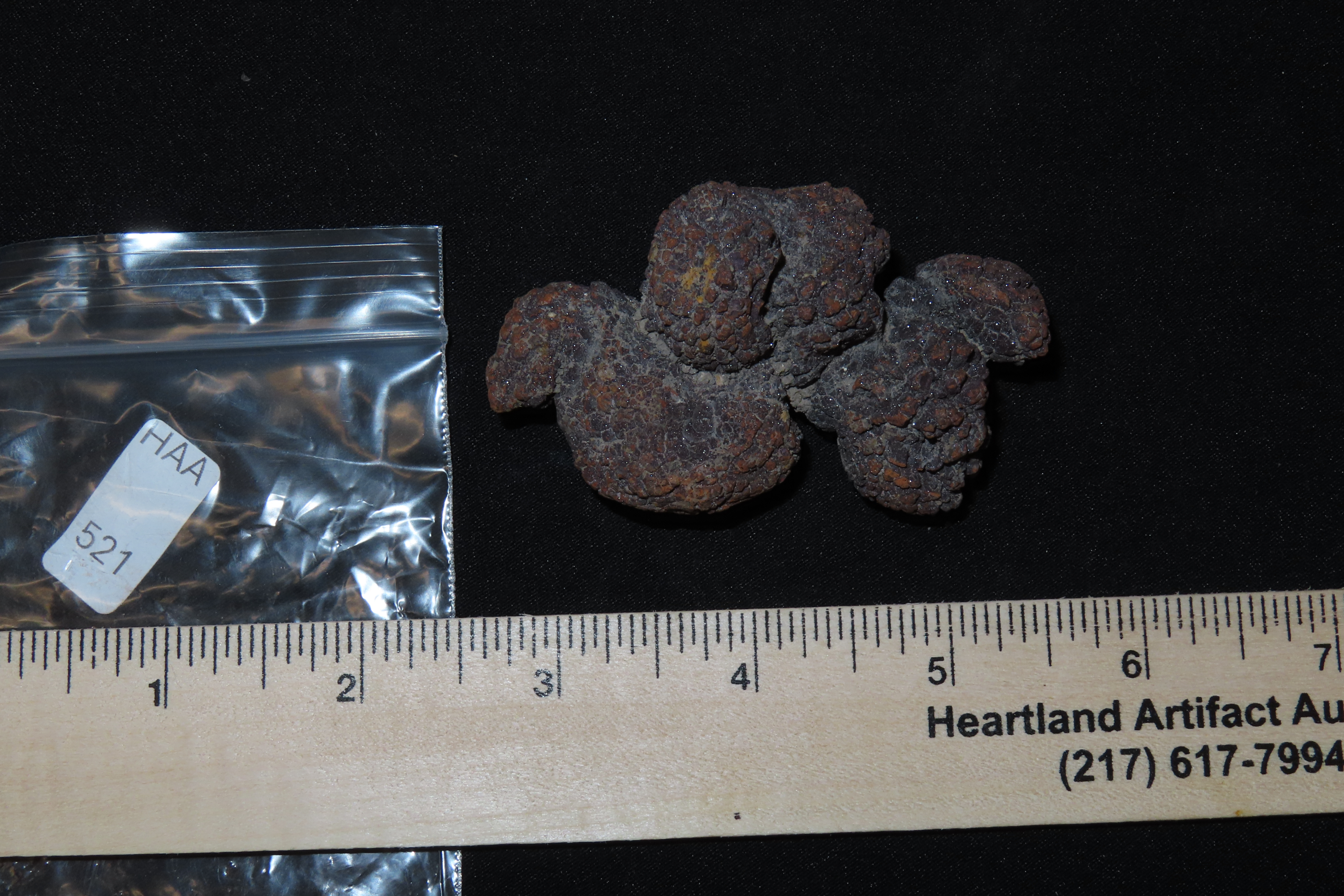 Large Dinosaur Poop Fossil, Coprolite, Appr. 100 Million Years old Fossilized Dino Dung, Great Well Formed Example!