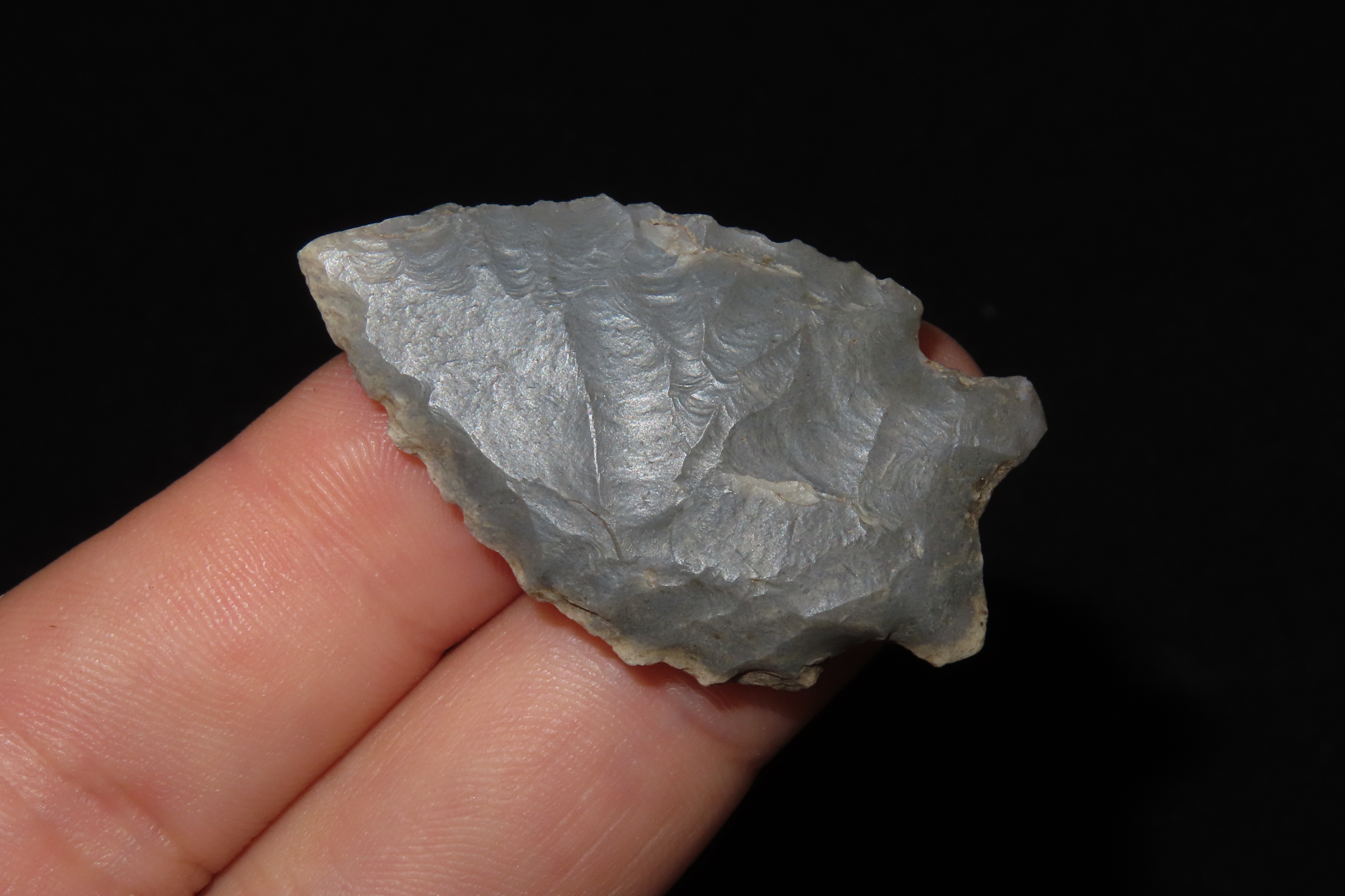 Two Tone Blue & White Serrated Kirk found in Wayne County Kentucky. Indian Arrowhead, Artifact.