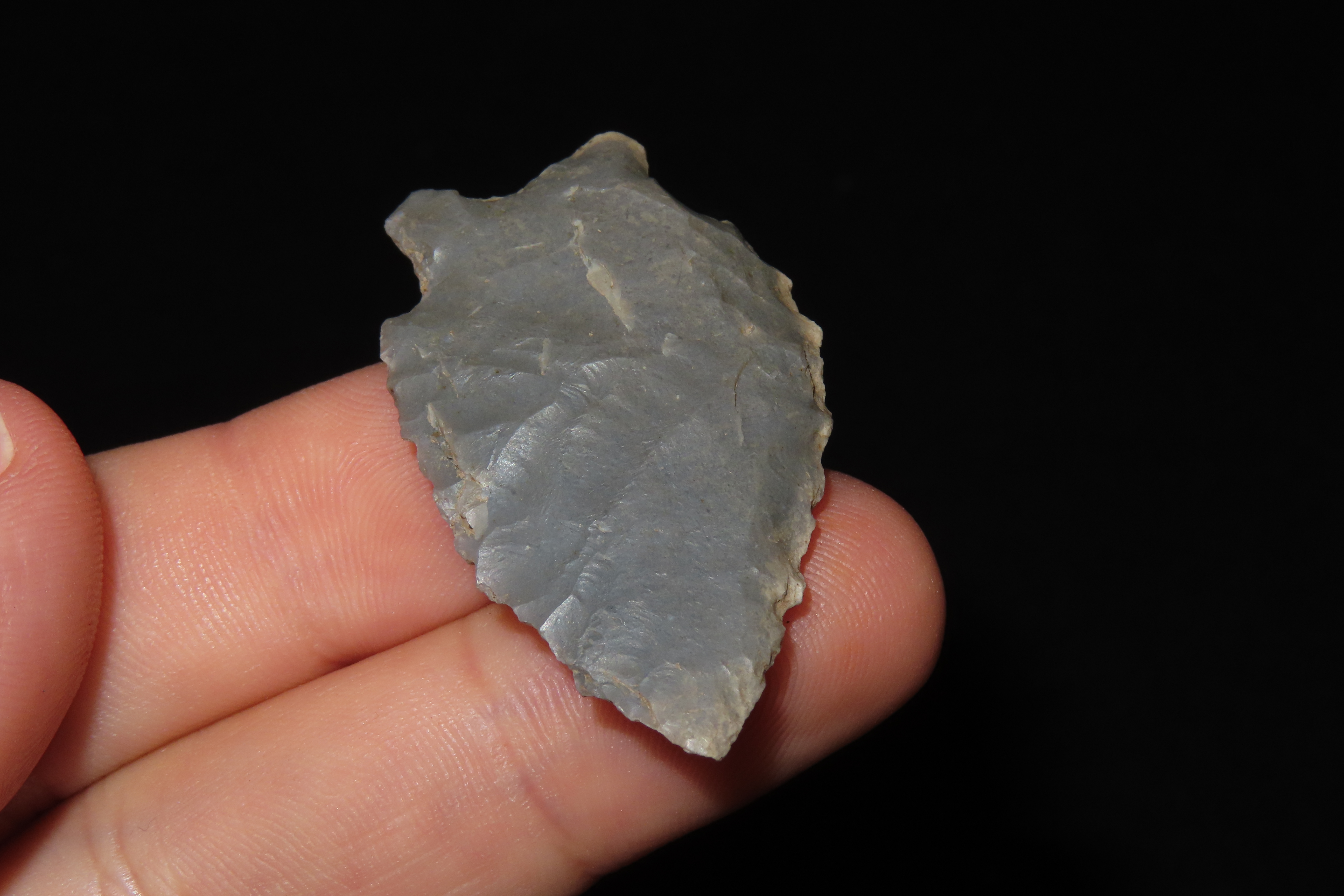 Two Tone Blue & White Serrated Kirk found in Wayne County Kentucky. Indian Arrowhead, Artifact.