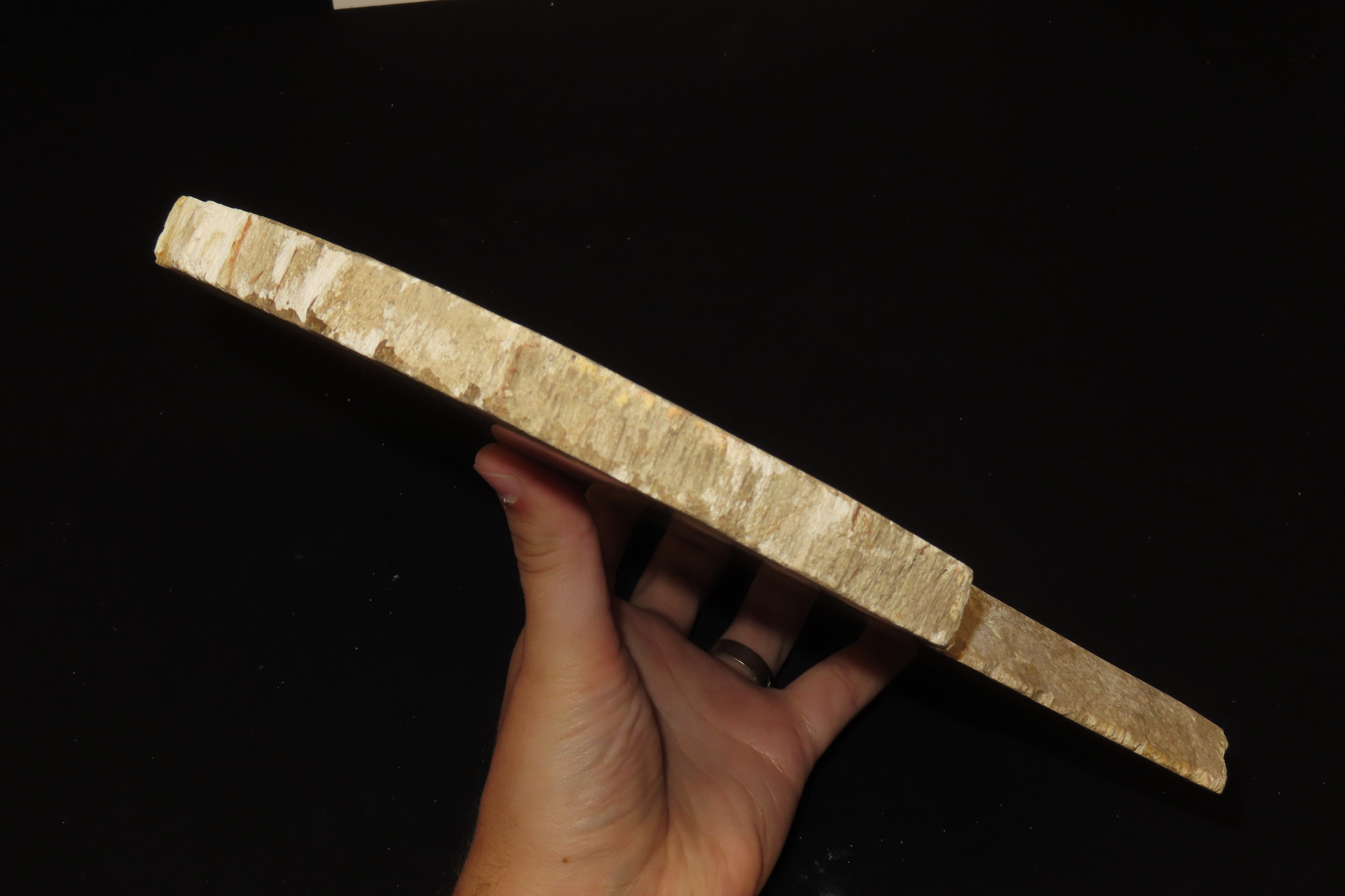 Large Colorful Polished Slab of Petrifeid Wood. Fully Polished on Both Sides, Beautiful Colorful Example.