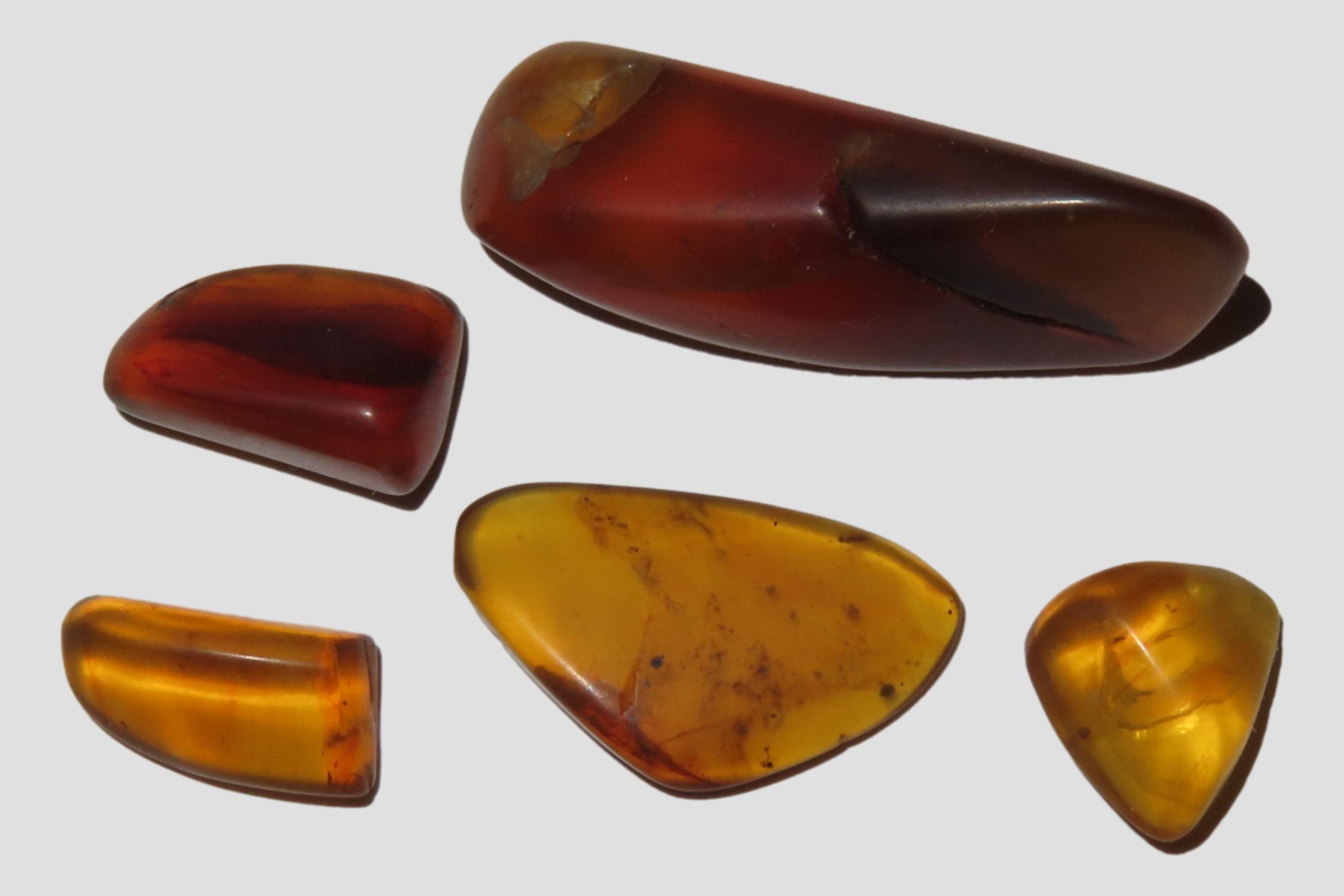 Lot of Fossil Amber, some with small bugs or partial bugs that were partially eaten by another insect. 100 Million Years Old, from the Hukaw