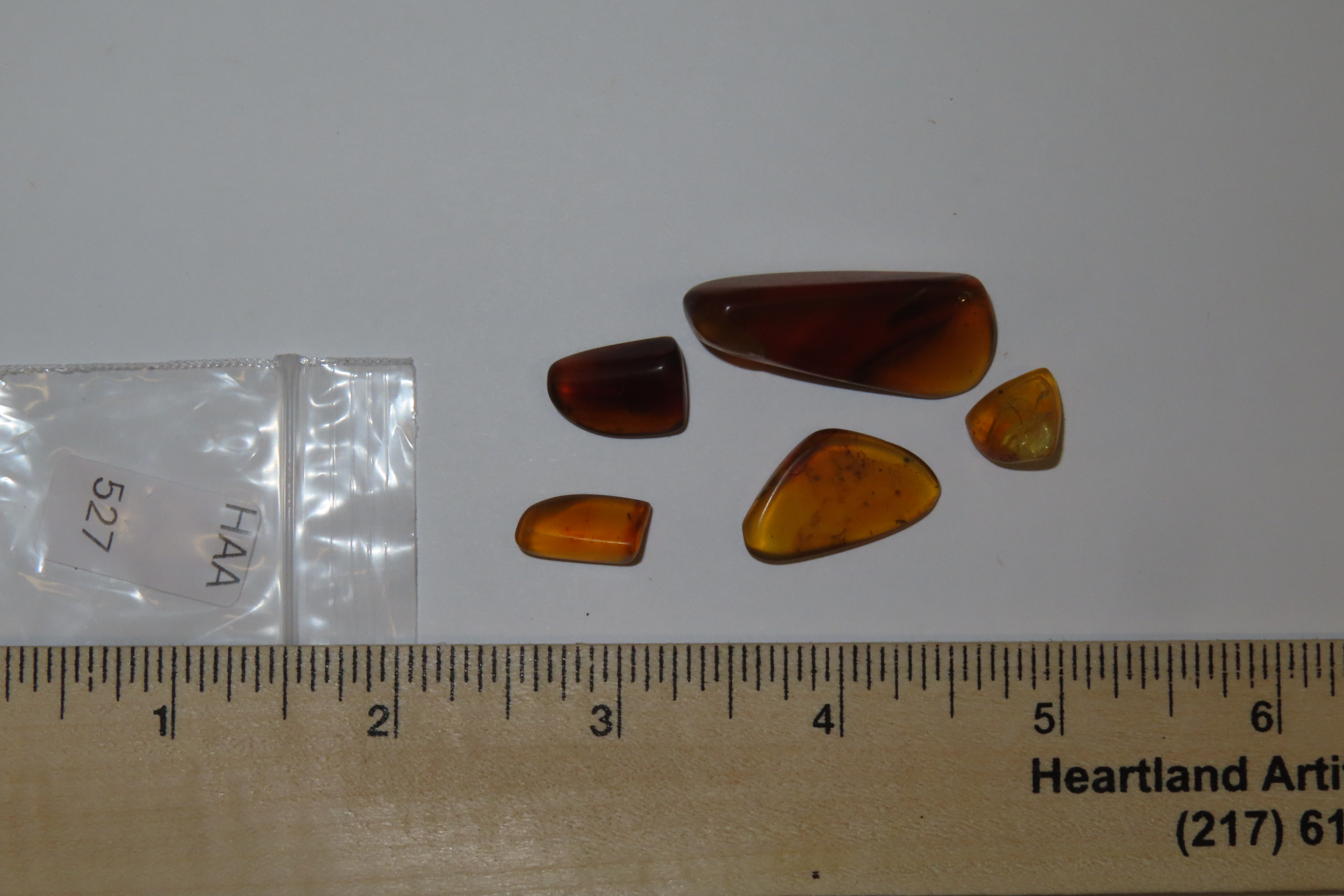 Lot of Fossil Amber, some with small bugs or partial bugs that were partially eaten by another insect. 100 Million Years Old, from the Hukaw