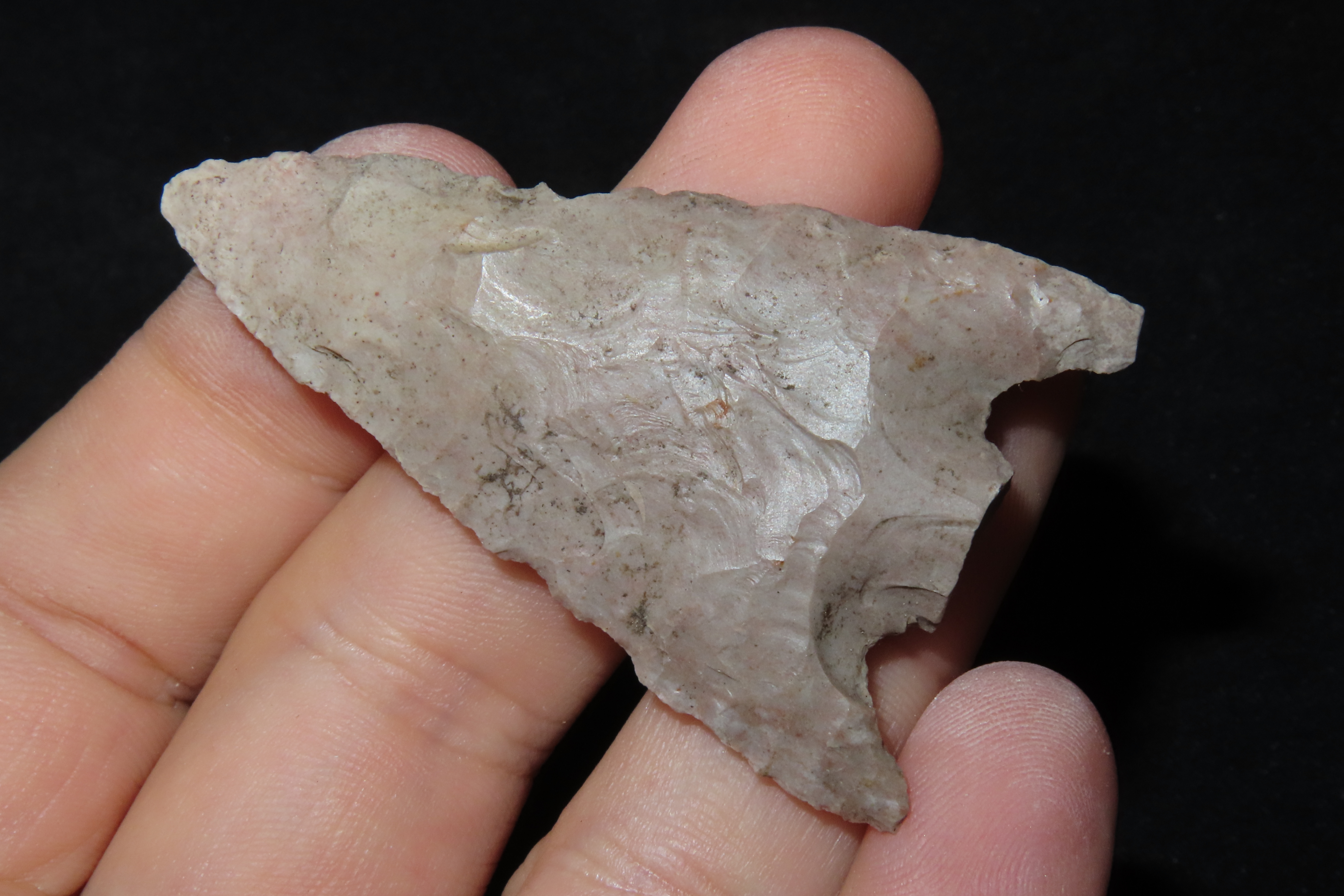 Nice 2 1/4" Rankin found in Wayne County Tennessee. Indian Arrowhead, Artifact.