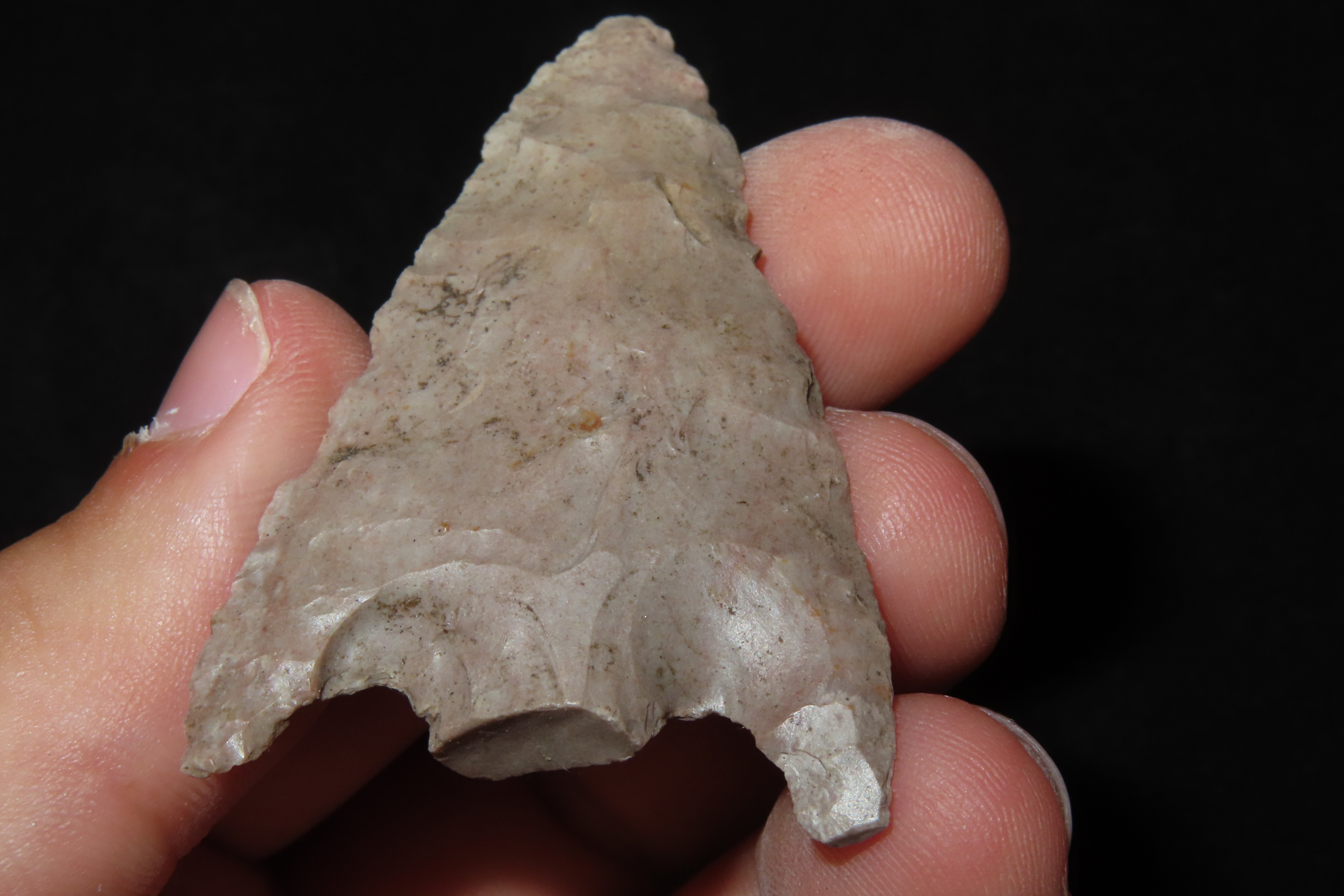 Nice 2 1/4" Rankin found in Wayne County Tennessee. Indian Arrowhead, Artifact.