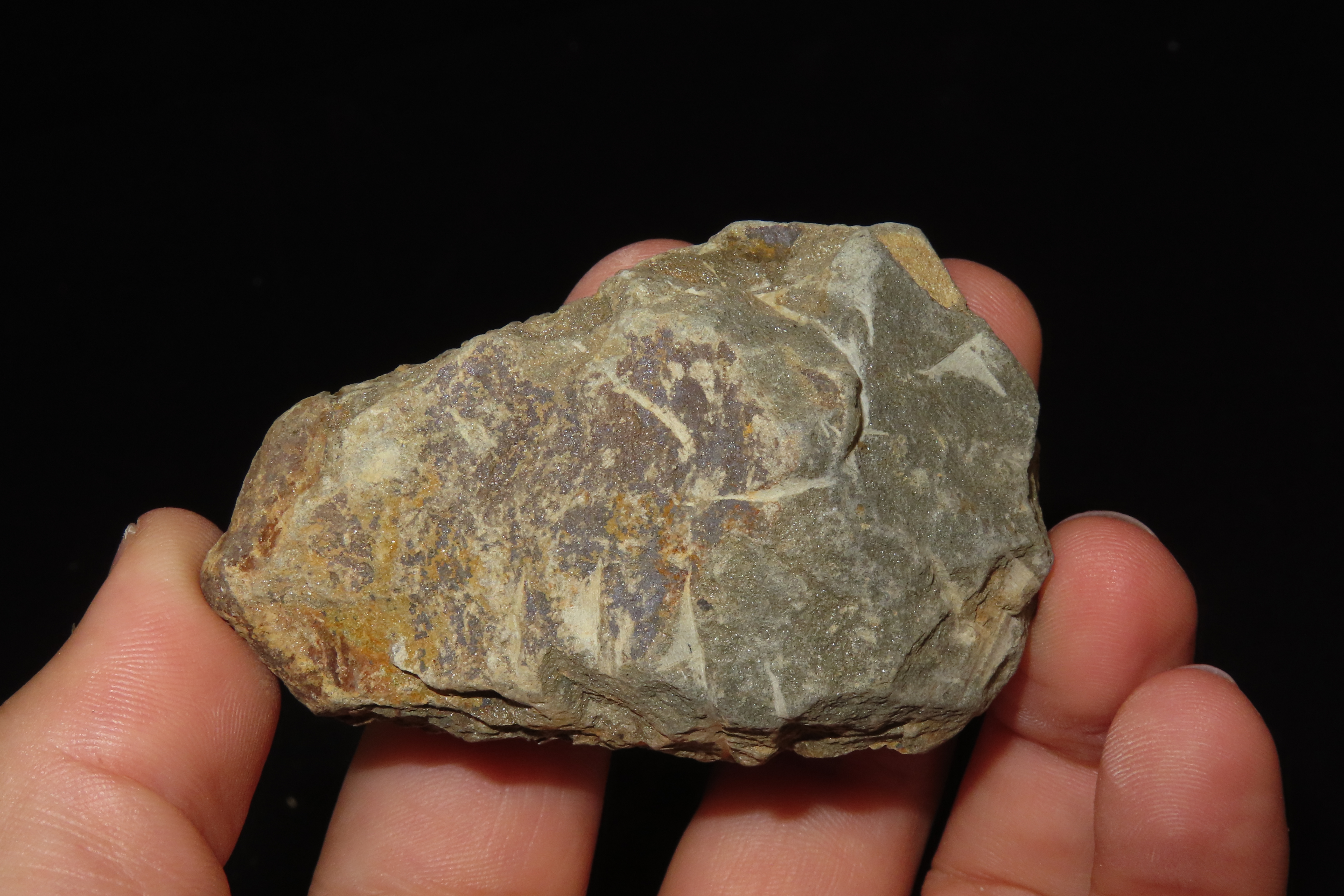 300-500 Million Year old Trilobite Fossil, Very well Preserved & Highly Detailed Example.