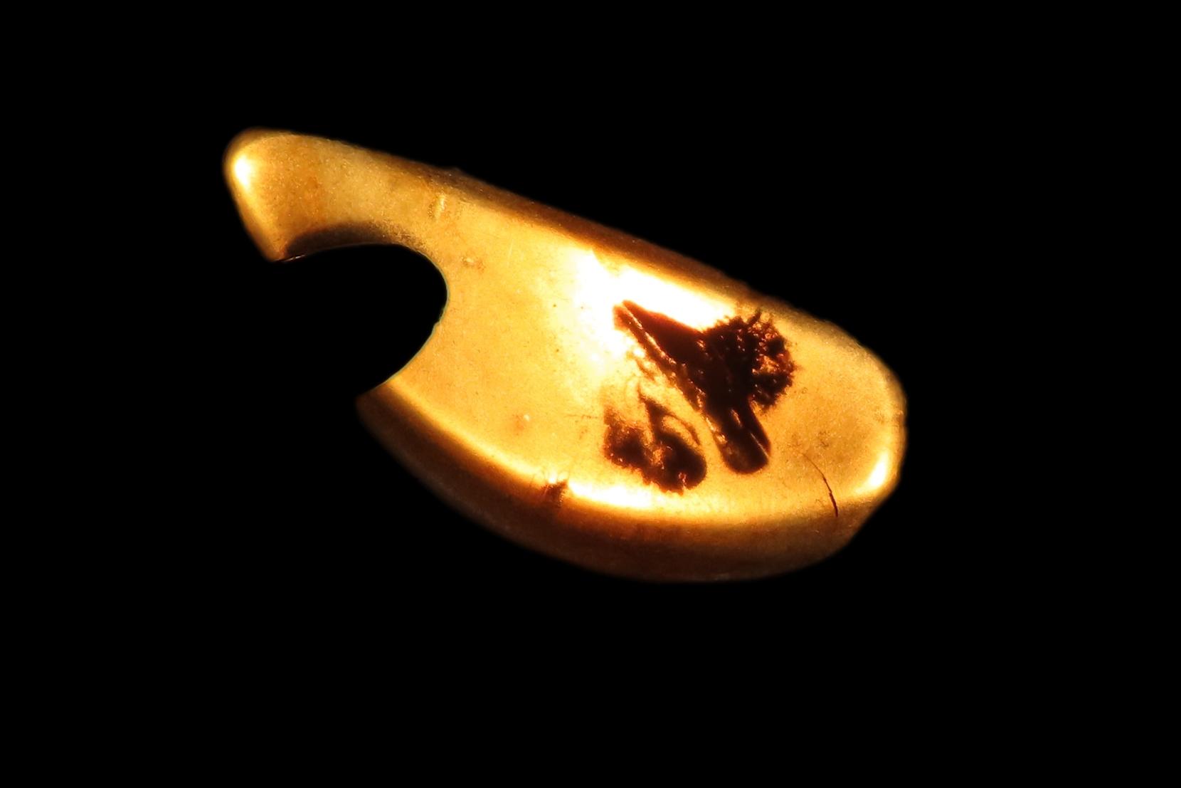 Fossil Amber with Encased Insect, Great Specimen with Easily Visible Bug. 100 Million Years Old, from the Hukawng Valley, Burma-Myanmar. Bur