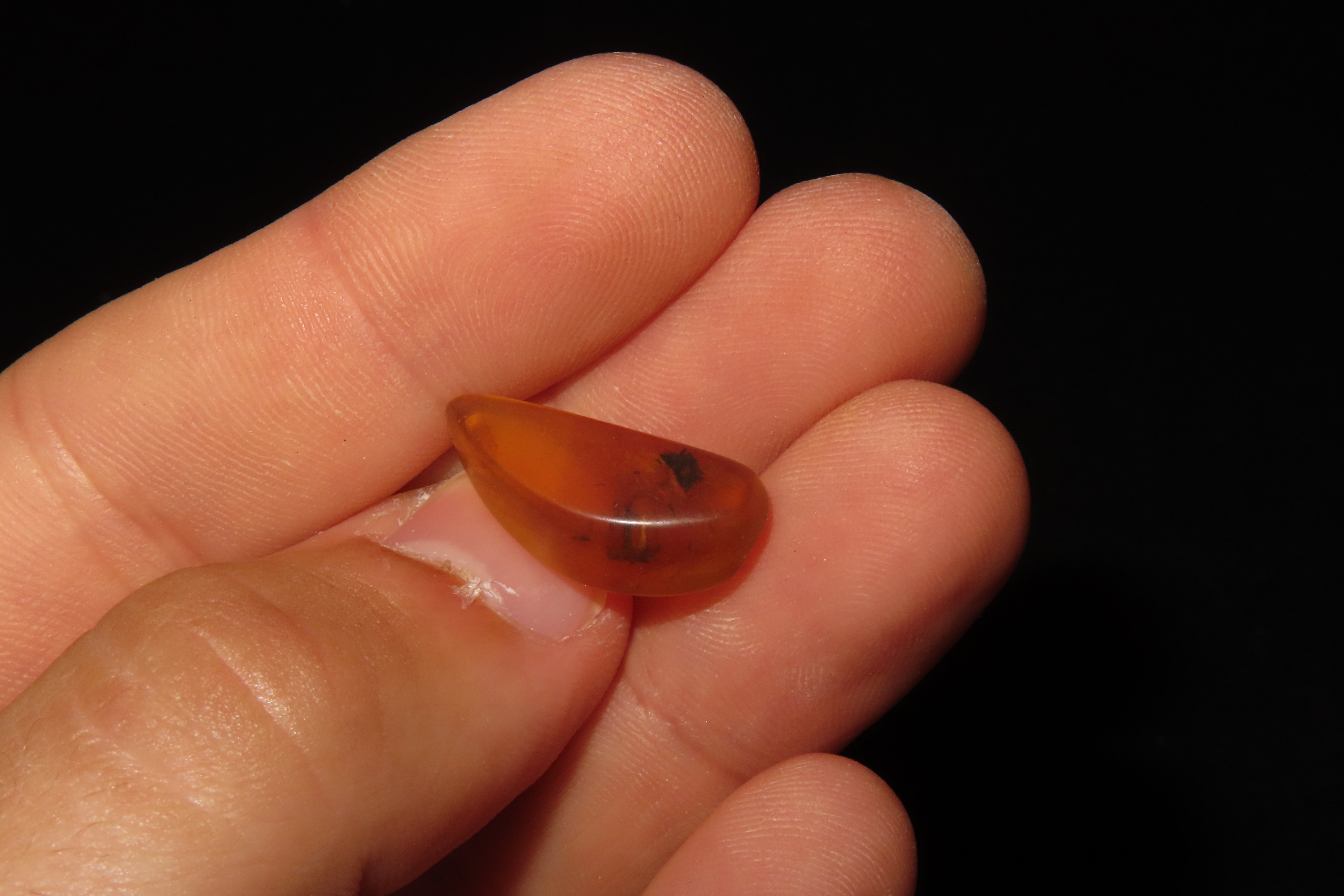 Fossil Amber with Encased Insect, Great Specimen with Easily Visible Bug. 100 Million Years Old, from the Hukawng Valley, Burma-Myanmar. Bur