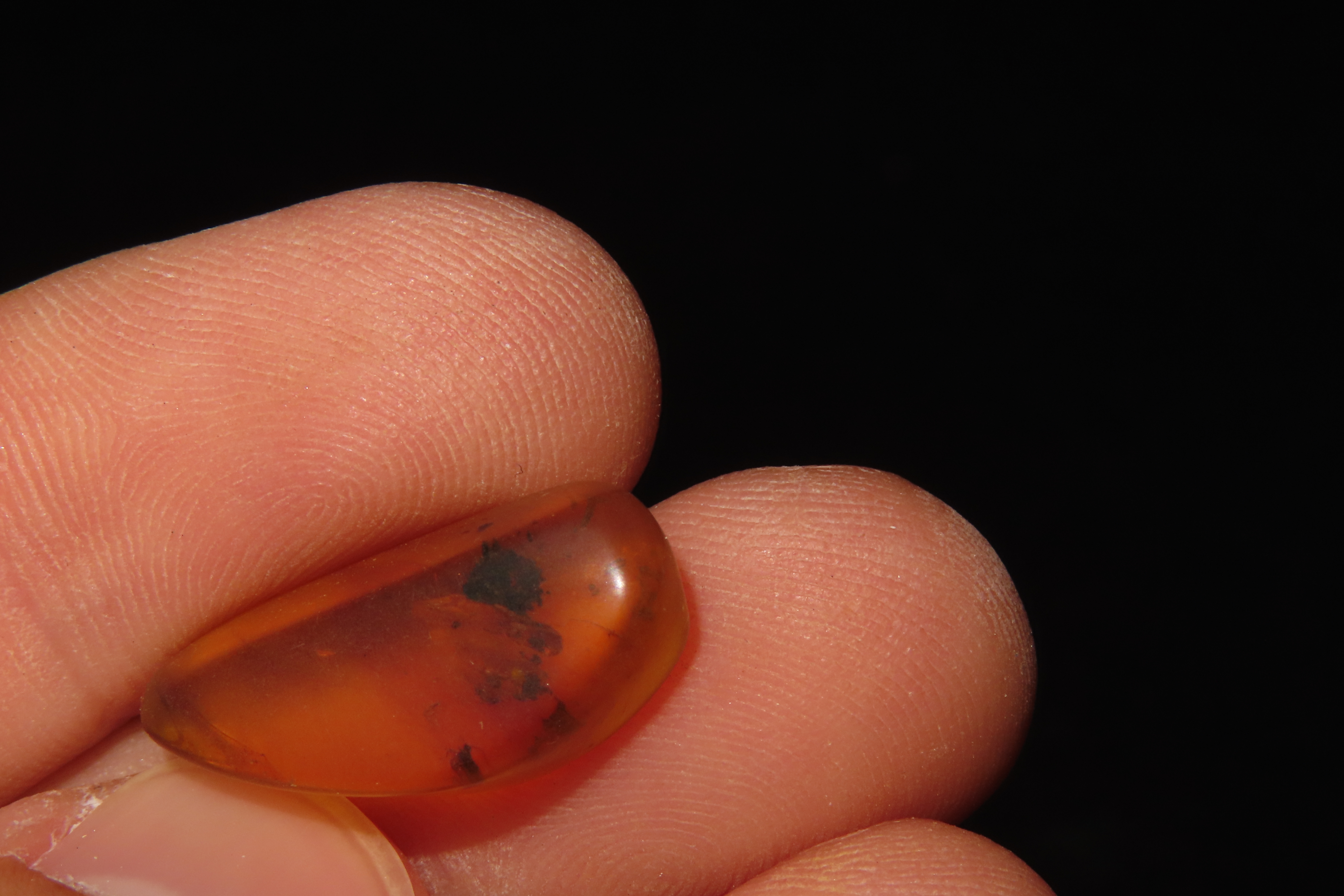Fossil Amber with Encased Insect, Great Specimen with Easily Visible Bug. 100 Million Years Old, from the Hukawng Valley, Burma-Myanmar. Bur