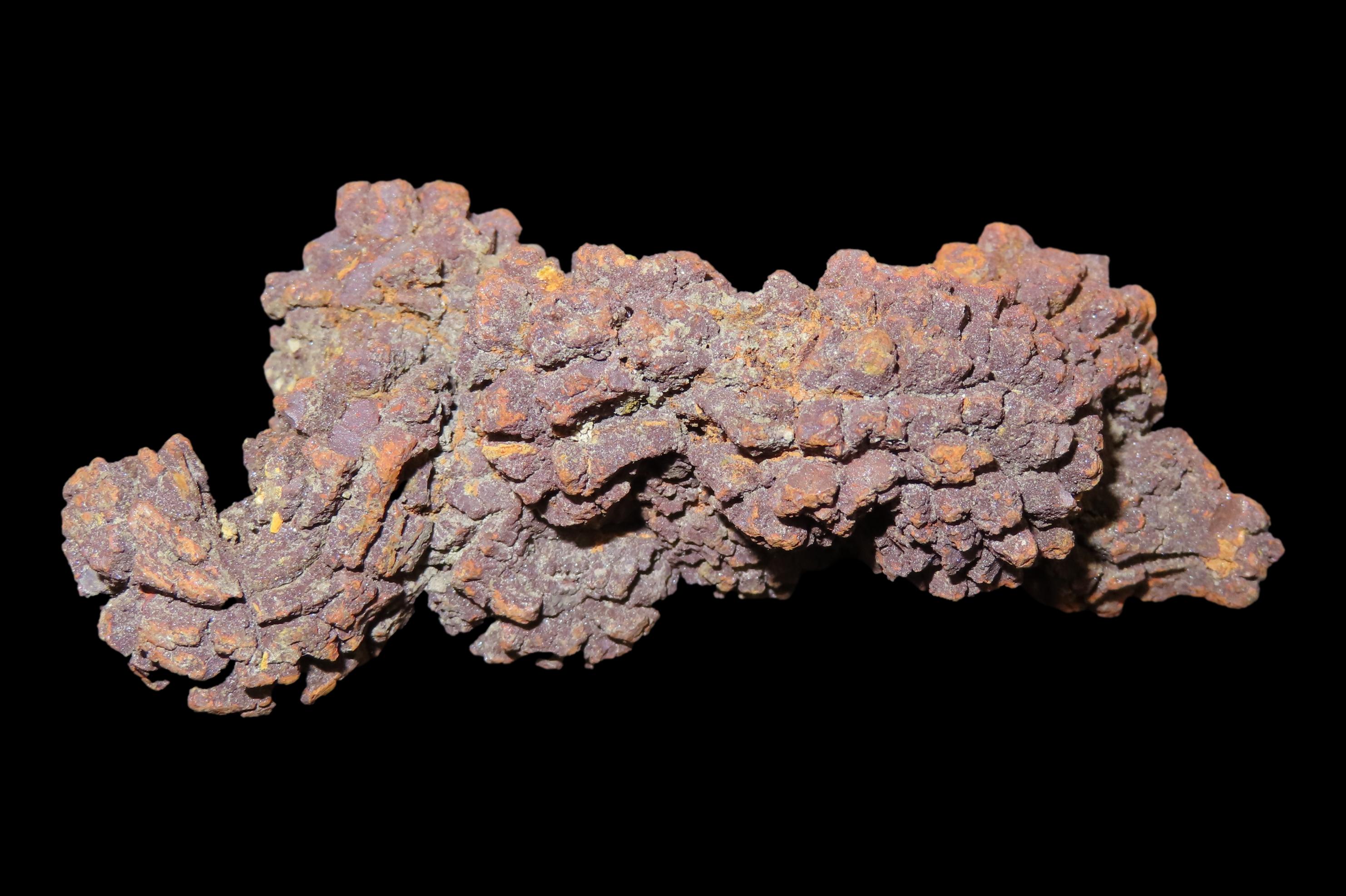 Large Dinosaur Poop Fossil, Coprolite, Appr. 100 Million Years old Fossilized Dino Dung, Great Well Formed Example!