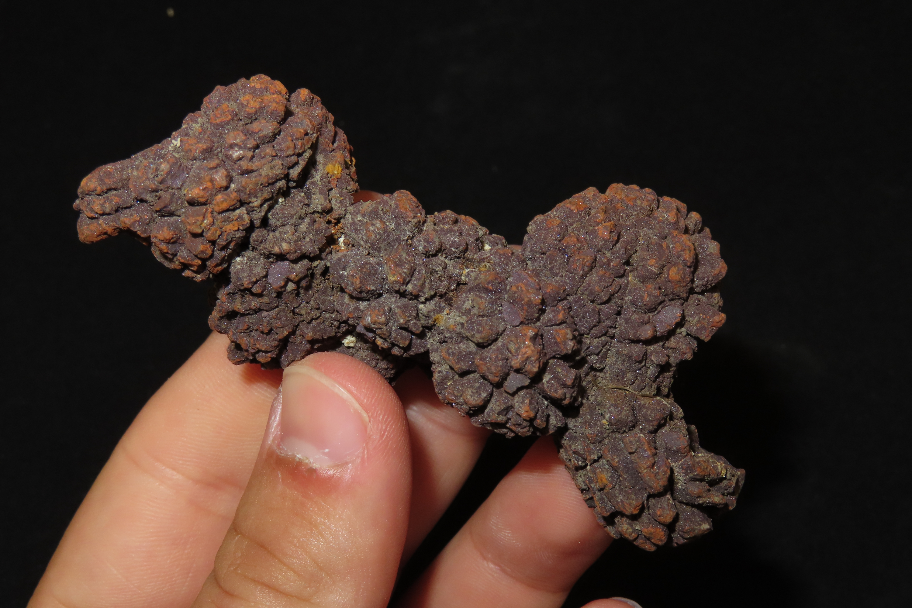 Large Dinosaur Poop Fossil, Coprolite, Appr. 100 Million Years old Fossilized Dino Dung, Great Well Formed Example!