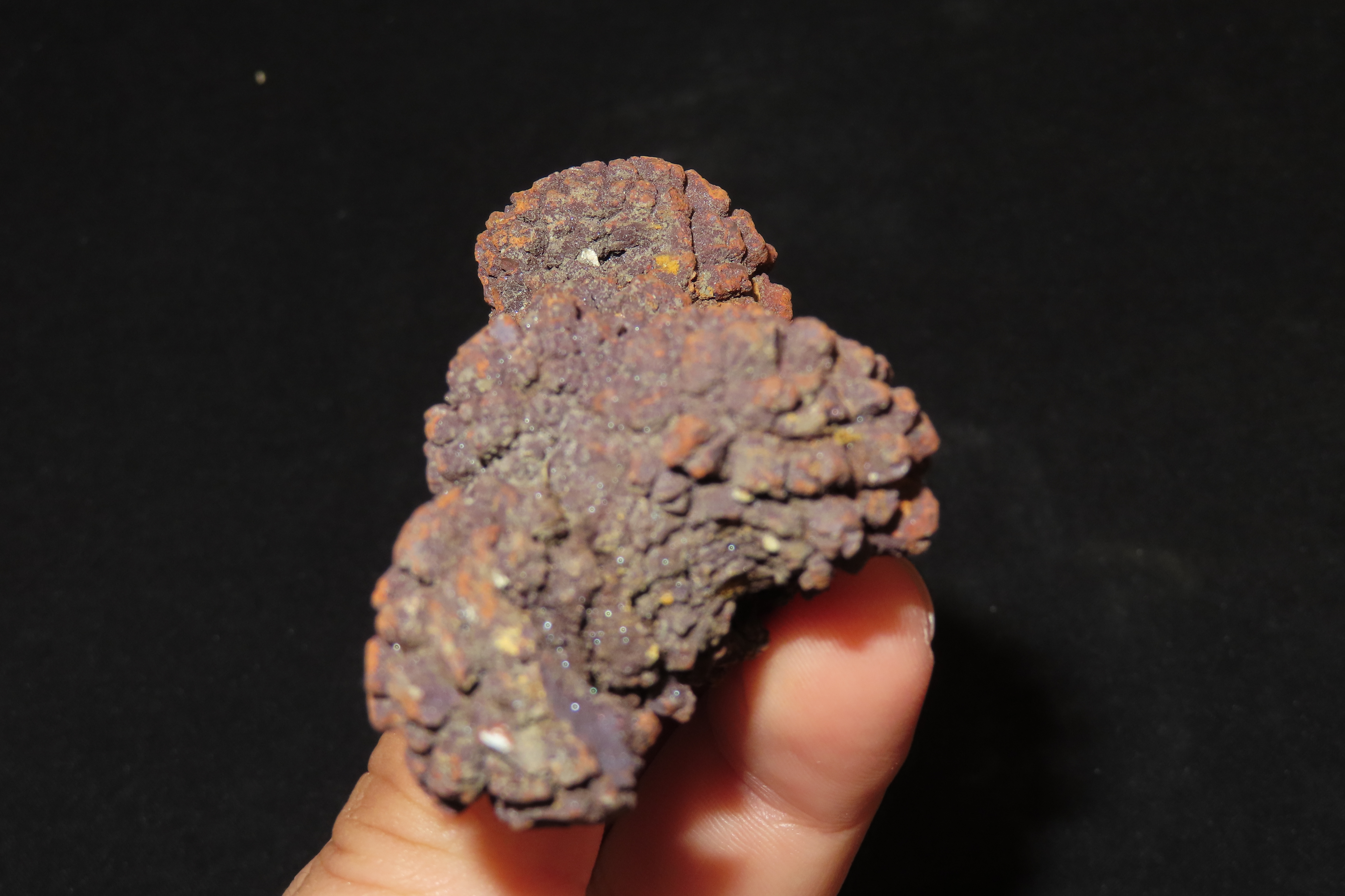 Large Dinosaur Poop Fossil, Coprolite, Appr. 100 Million Years old Fossilized Dino Dung, Great Well Formed Example!