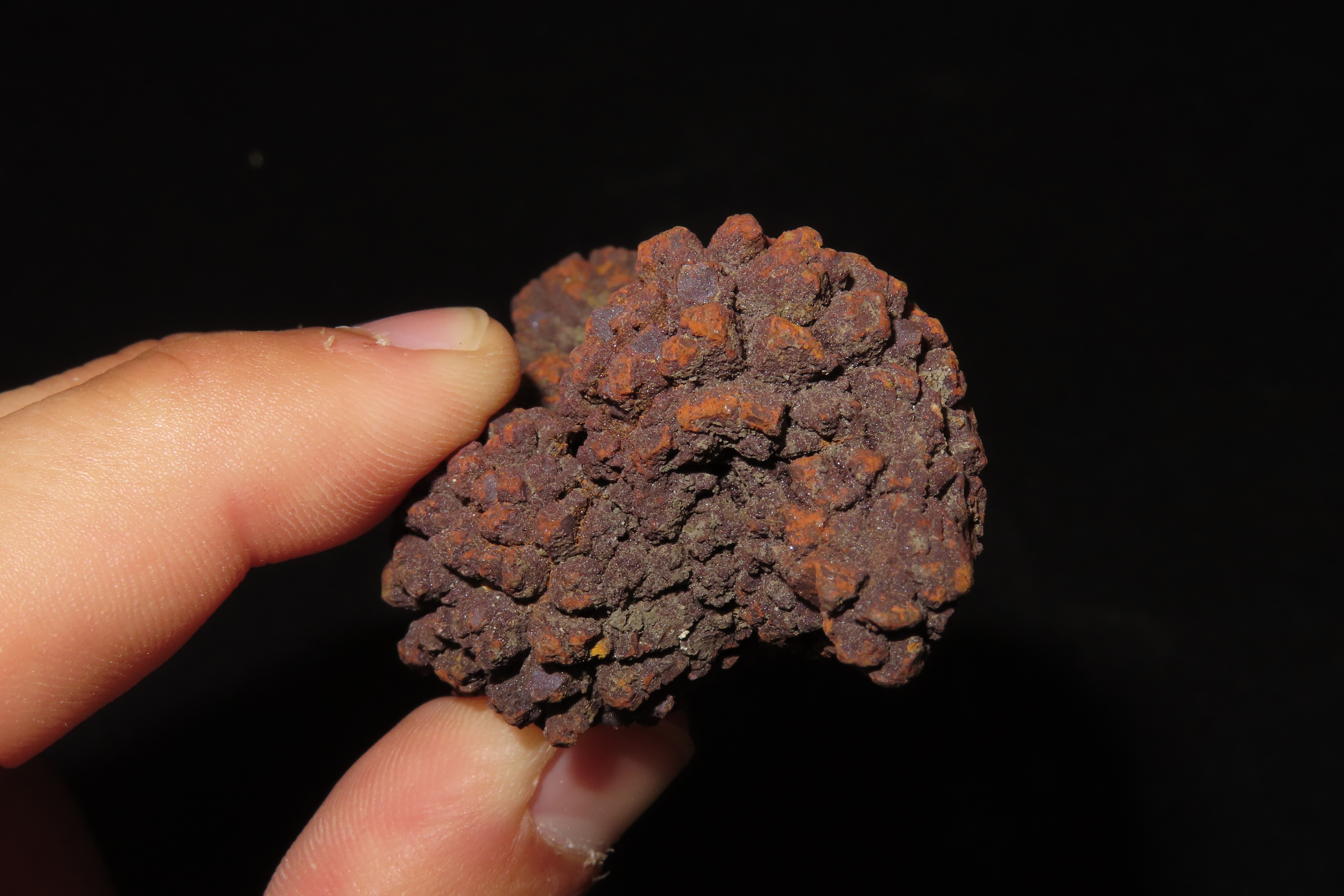 Large Dinosaur Poop Fossil, Coprolite, Appr. 100 Million Years old Fossilized Dino Dung, Great Well Formed Example!