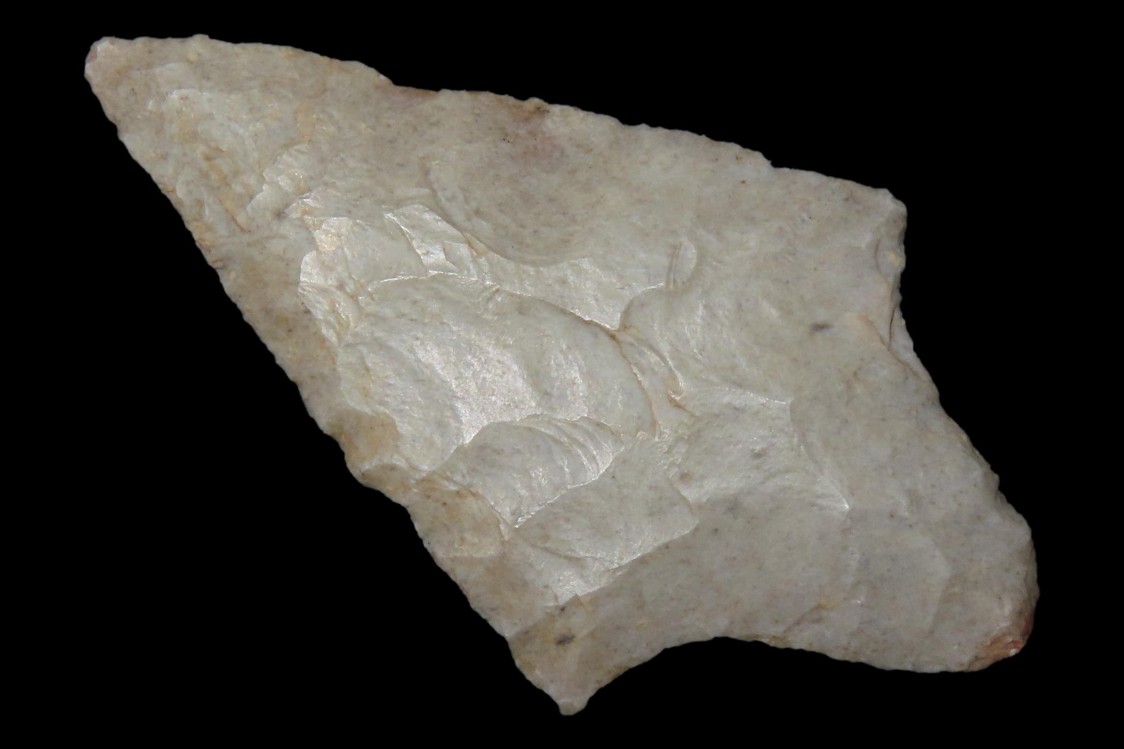 Wafer thin 2 1/4" Gary / Adena found in Mccurtain County Oklahoma. Indian Arrowhead, Artifact.
