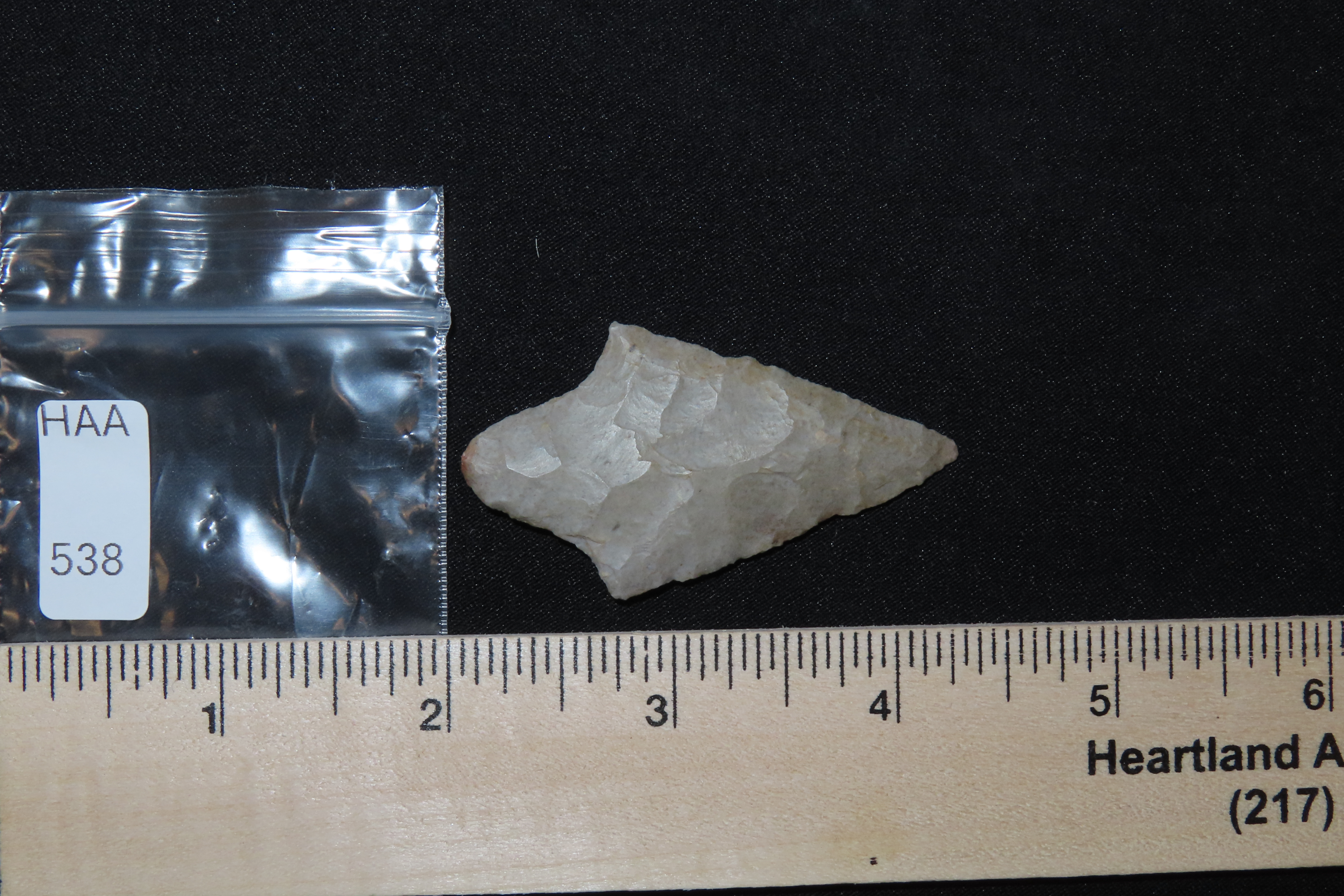 Wafer thin 2 1/4" Gary / Adena found in Mccurtain County Oklahoma. Indian Arrowhead, Artifact.