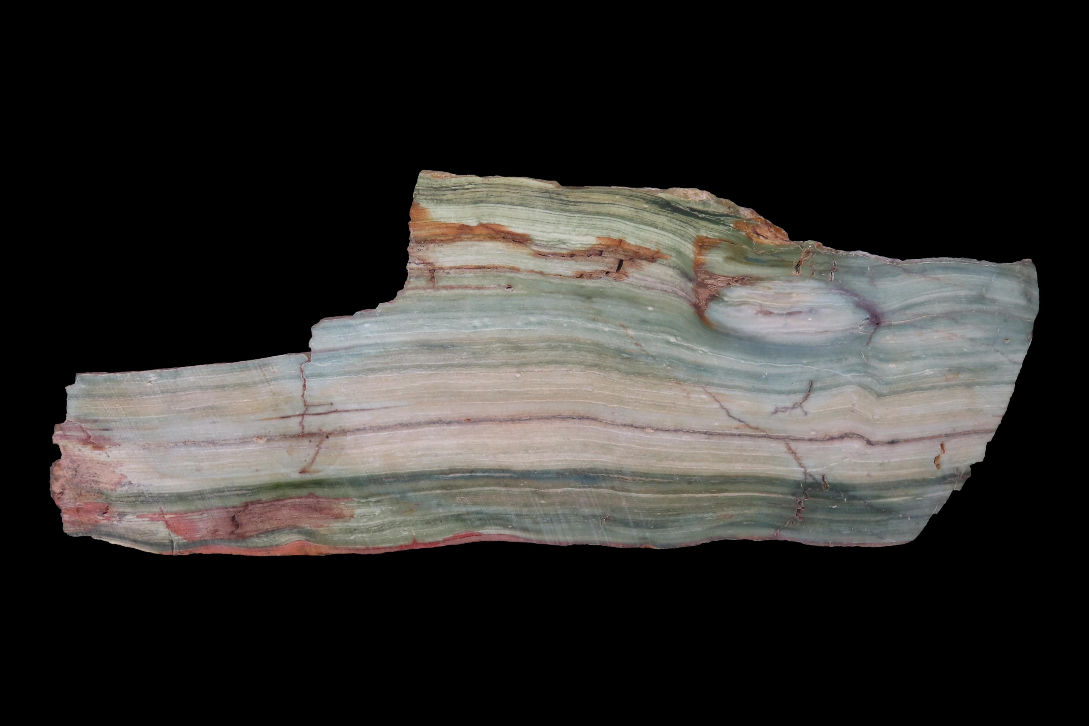 Rare Green & Blue Petrified Wood Slab, 8 3/4" long, Oregon Bogwood, Vibrant Greens & Blues mixed with Tan & Brown with hints of Red & White.