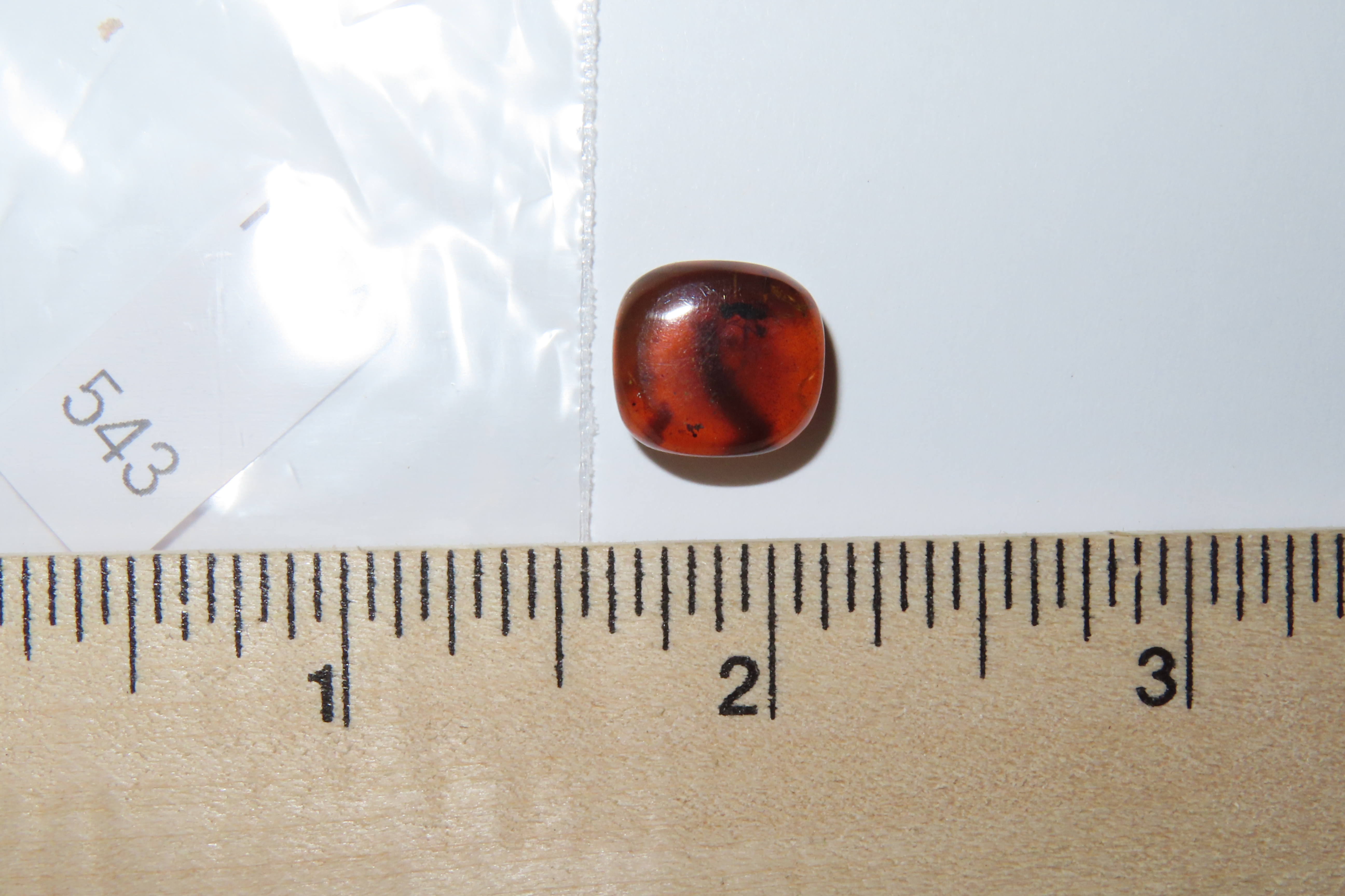 Fossil Amber with Encased Insect, Great Specimen with Easily Visible Bug. 100 Million Years Old, from the Hukawng Valley, Burma-Myanmar. Bur