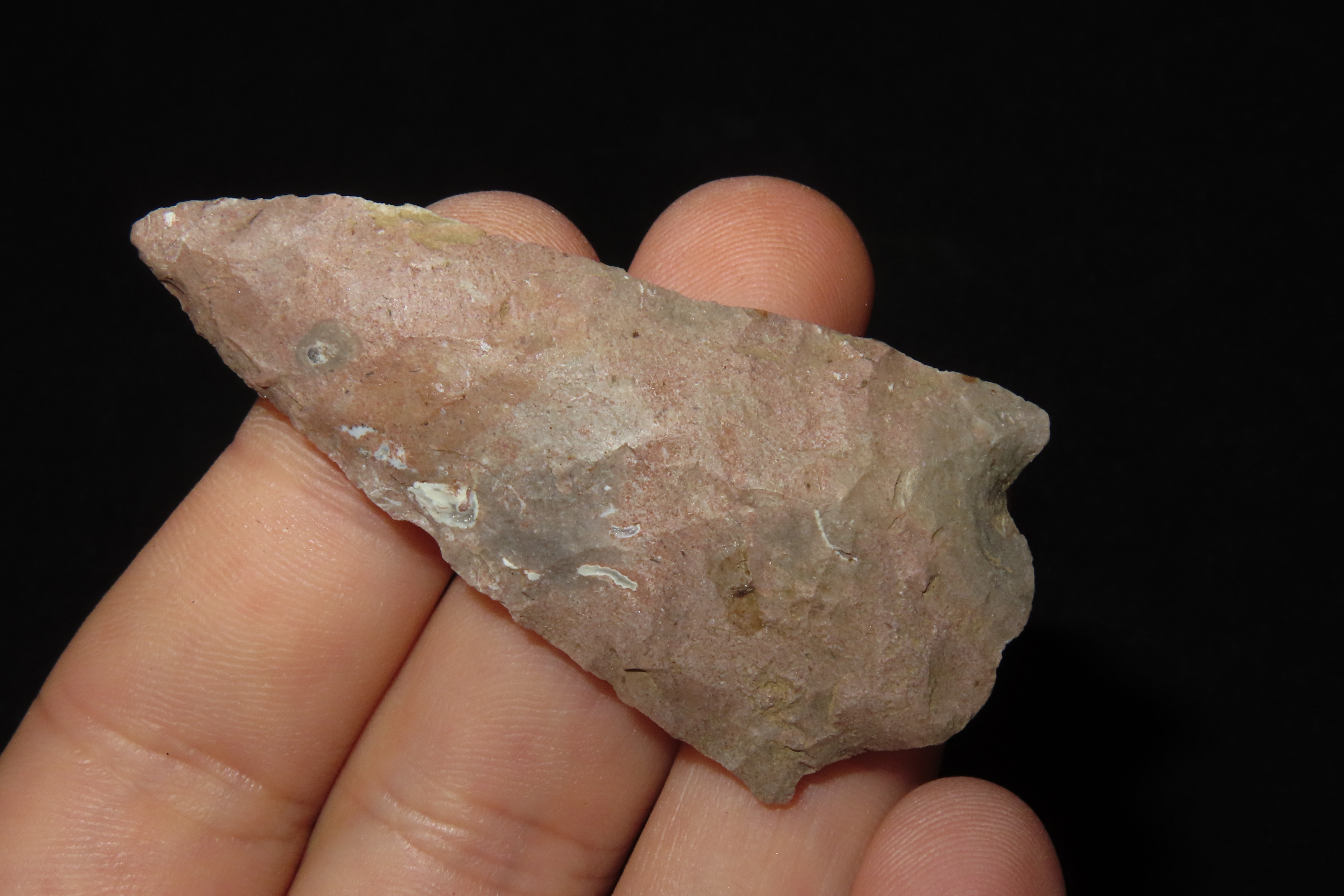 2 3/8" Eva Vanishing Stem found in Wayne County Tennessee. Indian Arrowhead, Artifact.
