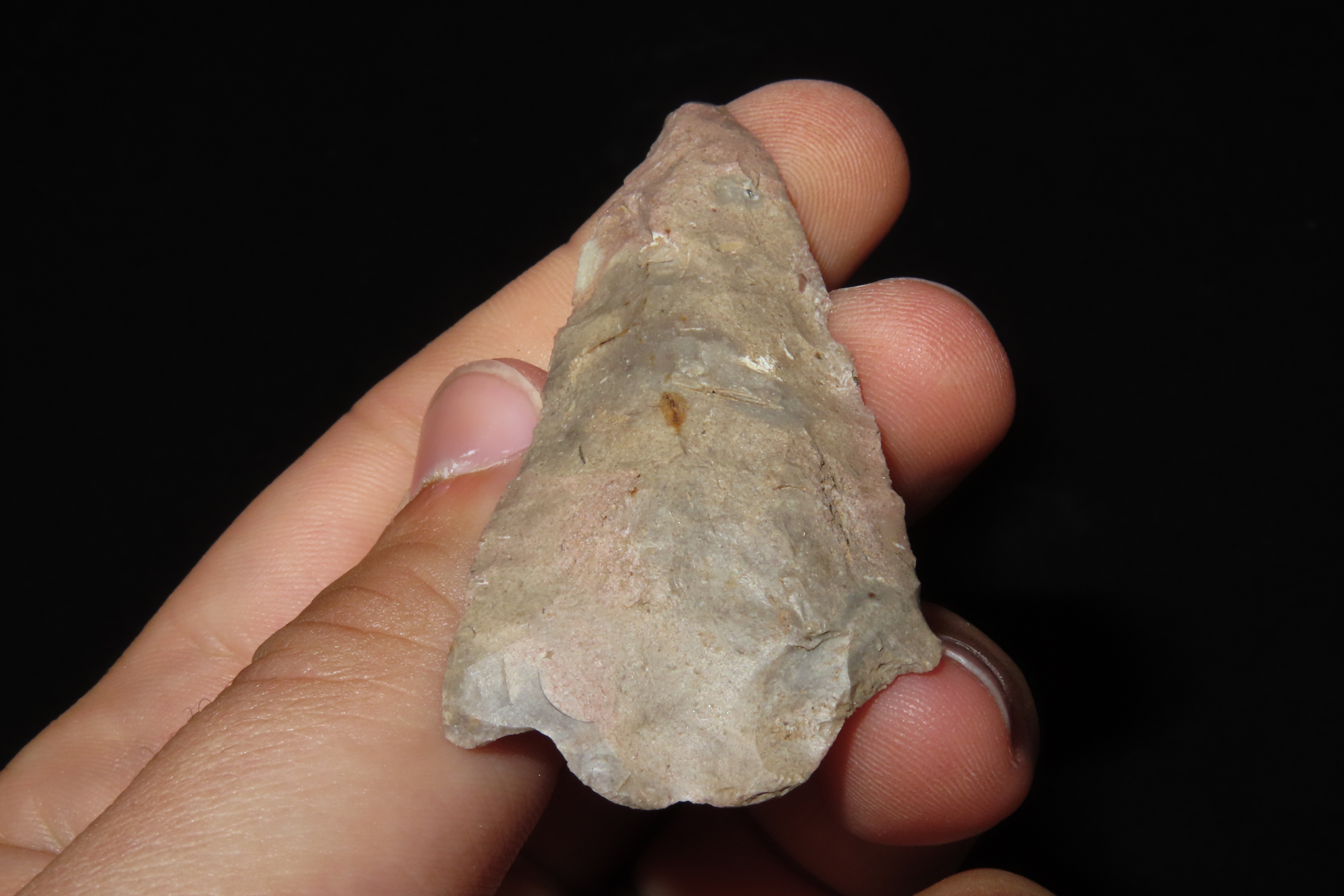 2 3/8" Eva Vanishing Stem found in Wayne County Tennessee. Indian Arrowhead, Artifact.