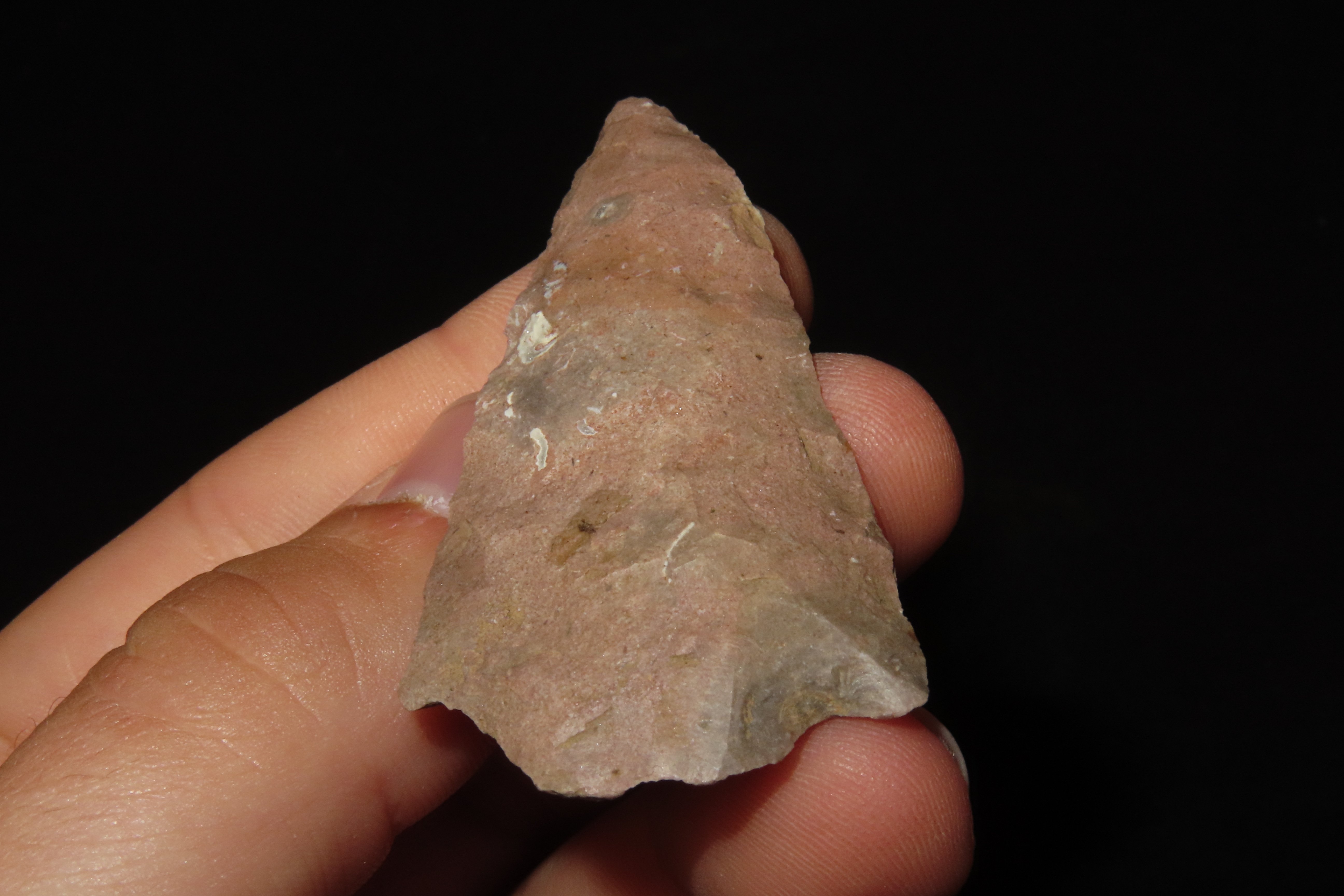 2 3/8" Eva Vanishing Stem found in Wayne County Tennessee. Indian Arrowhead, Artifact.