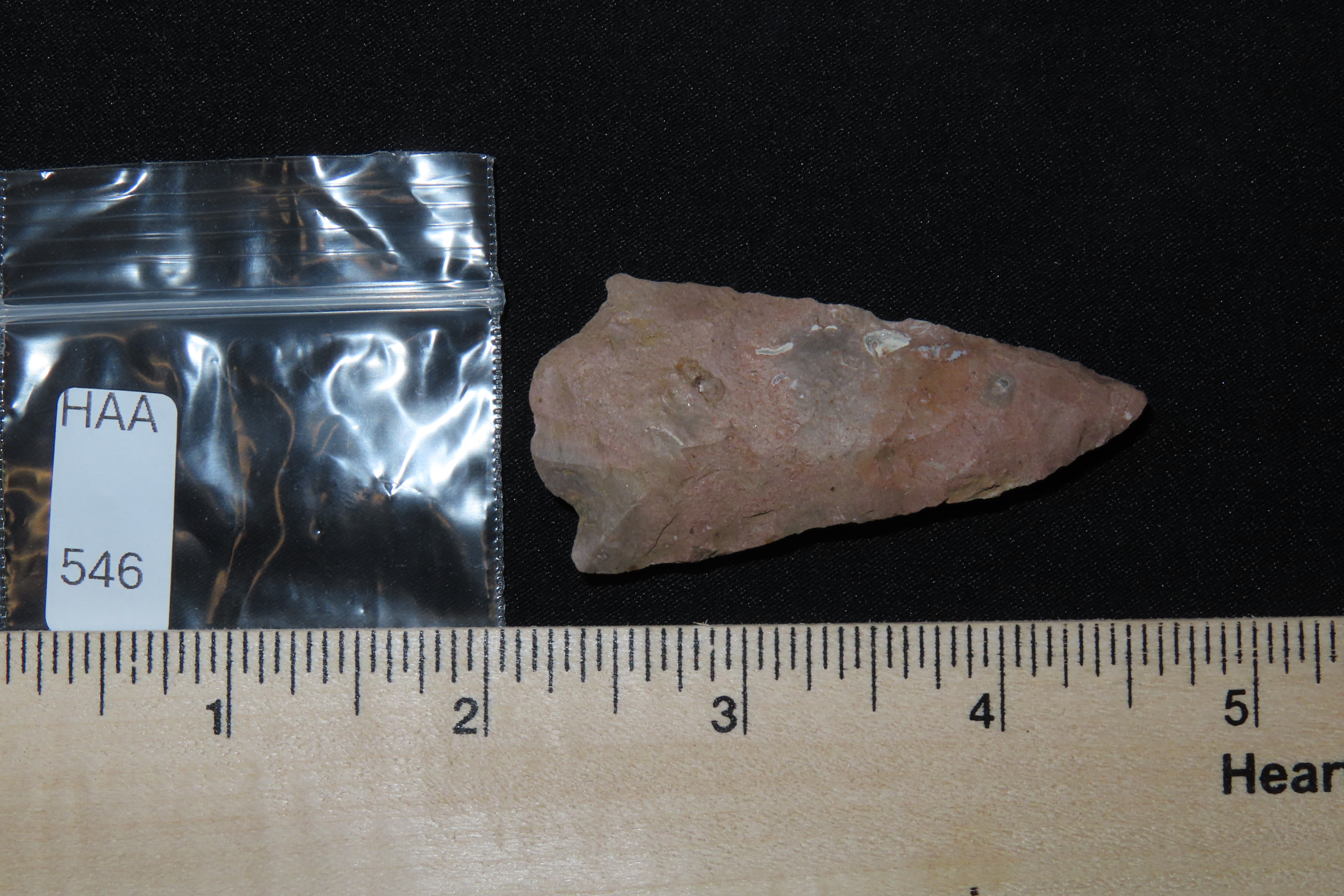 2 3/8" Eva Vanishing Stem found in Wayne County Tennessee. Indian Arrowhead, Artifact.