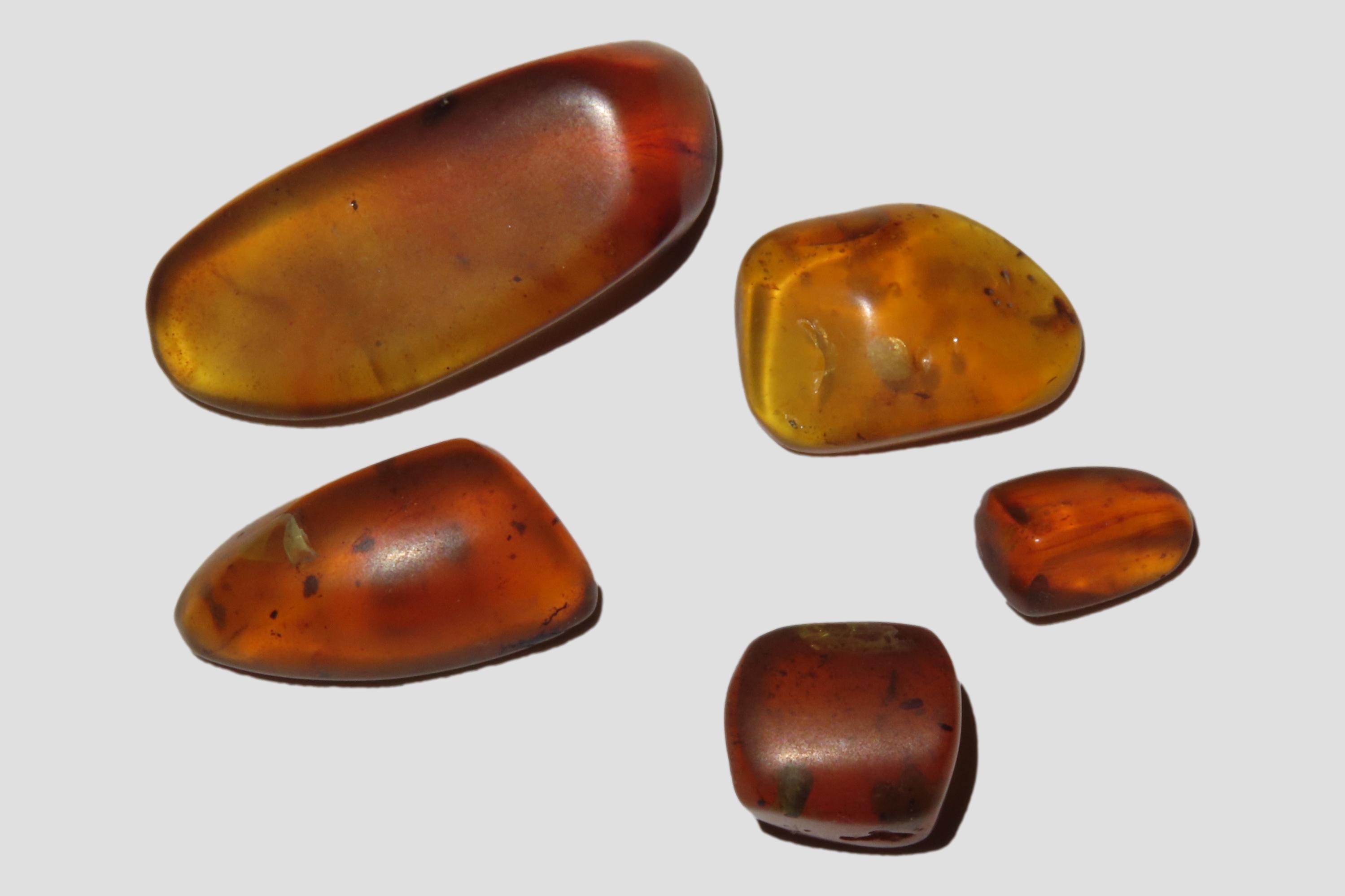 Lot of Fossil Amber, some with small bugs or partial bugs that were partially eaten by another insect. 100 Million Years Old, from the Hukaw