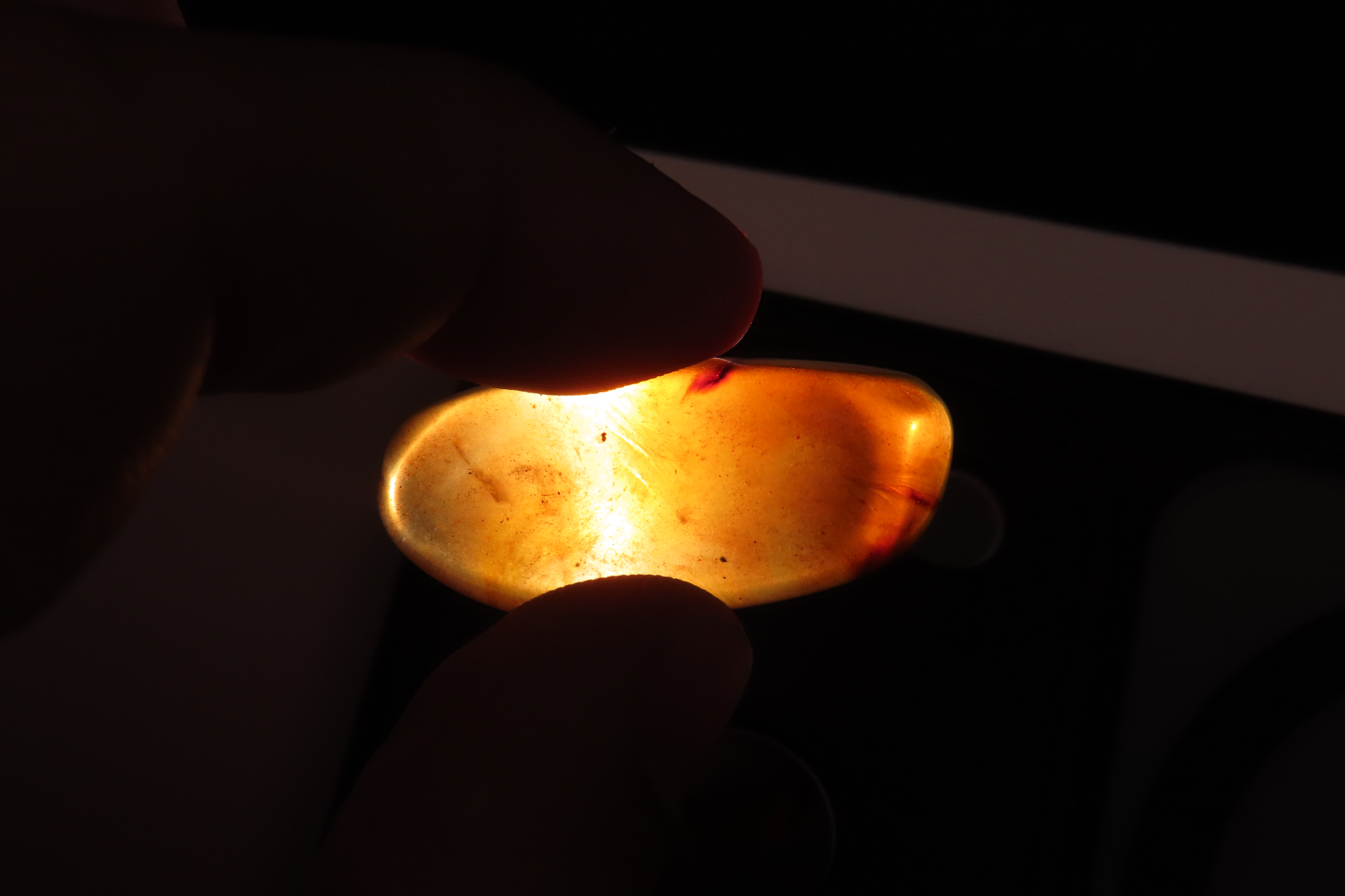Lot of Fossil Amber, some with small bugs or partial bugs that were partially eaten by another insect. 100 Million Years Old, from the Hukaw