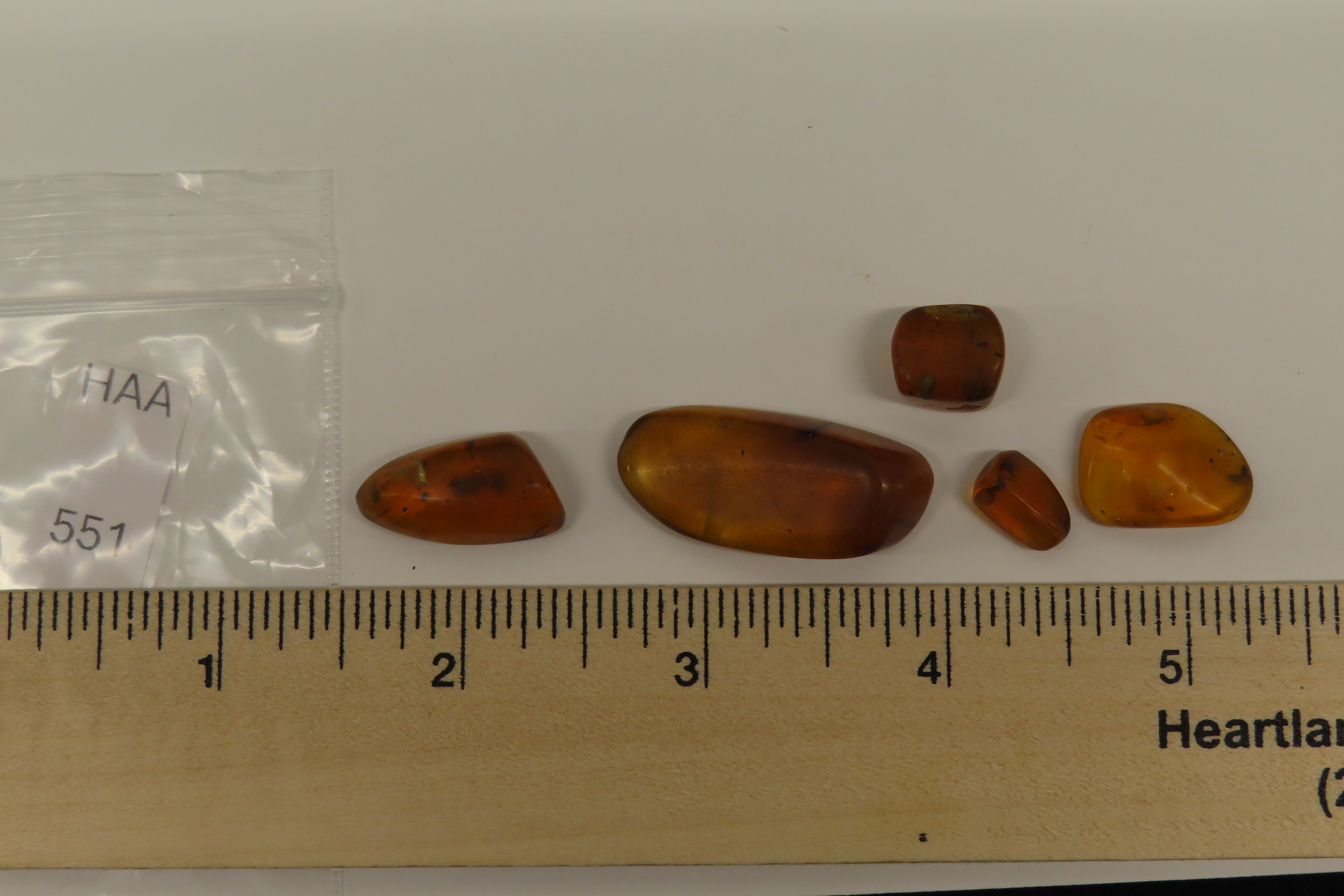 Lot of Fossil Amber, some with small bugs or partial bugs that were partially eaten by another insect. 100 Million Years Old, from the Hukaw