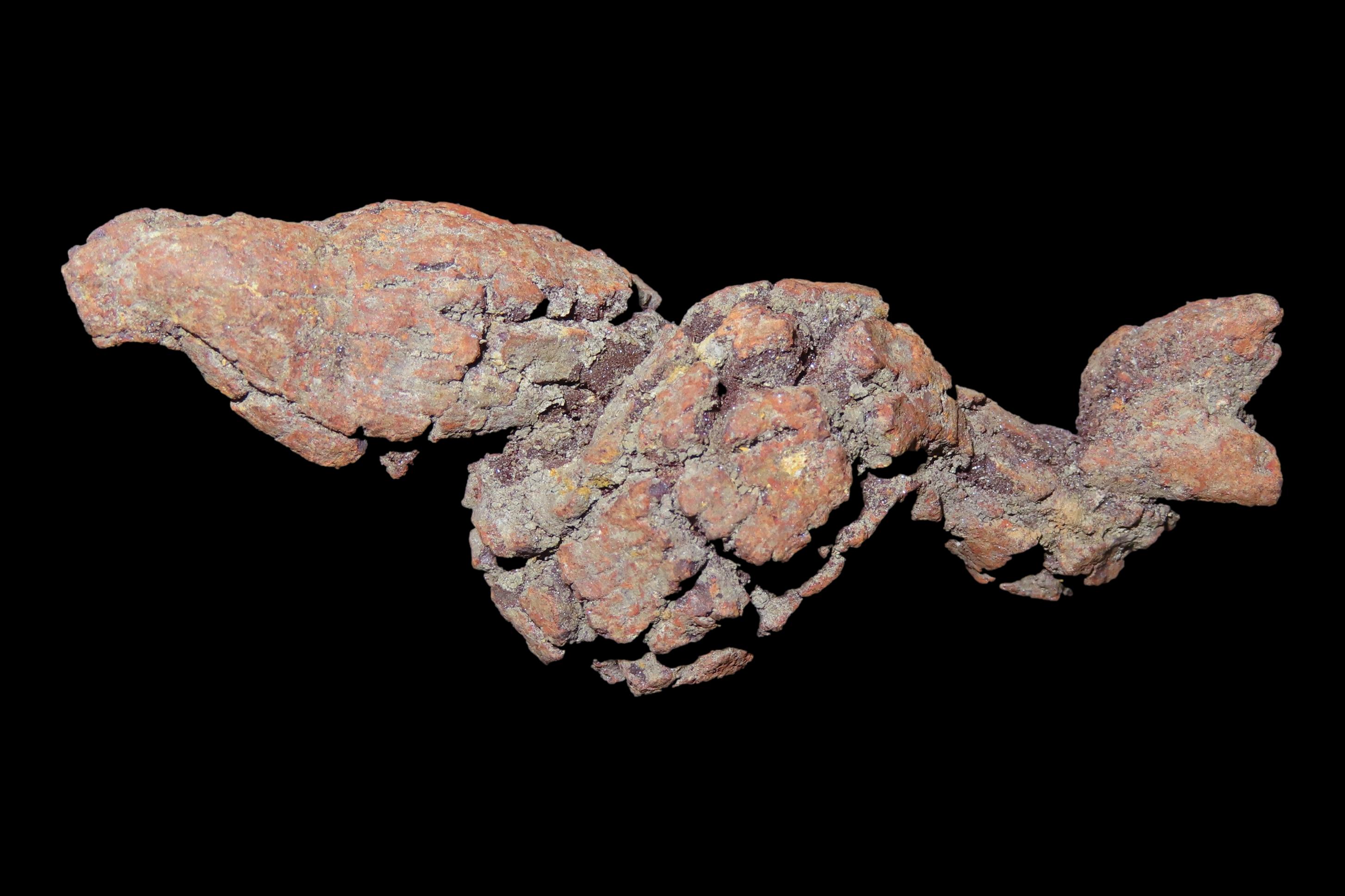 Large Dinosaur Poop Fossil, Coprolite, Appr. 100 Million Years old Fossilized Dino Dung, Great Well Formed Example!