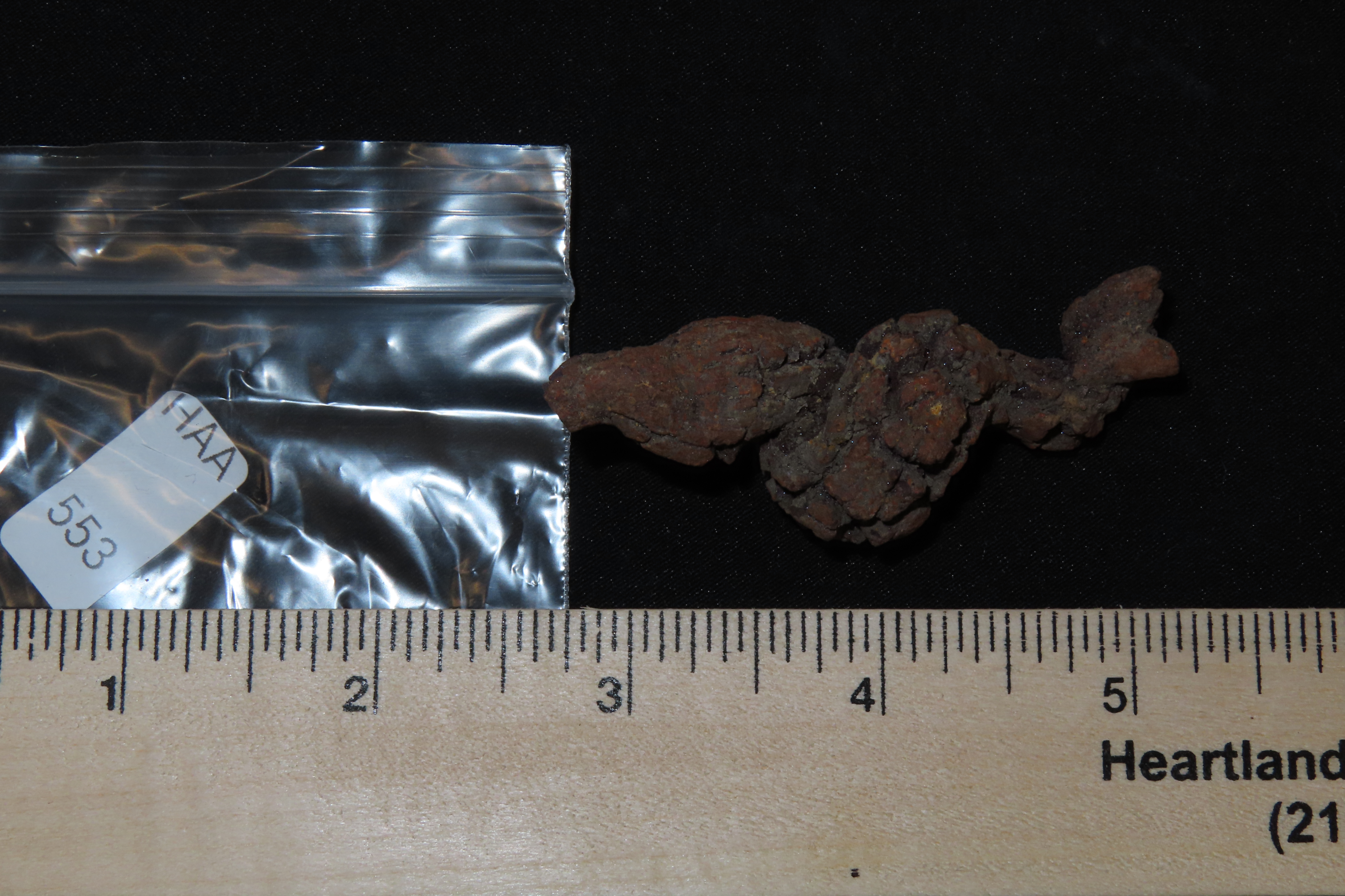 Large Dinosaur Poop Fossil, Coprolite, Appr. 100 Million Years old Fossilized Dino Dung, Great Well Formed Example!