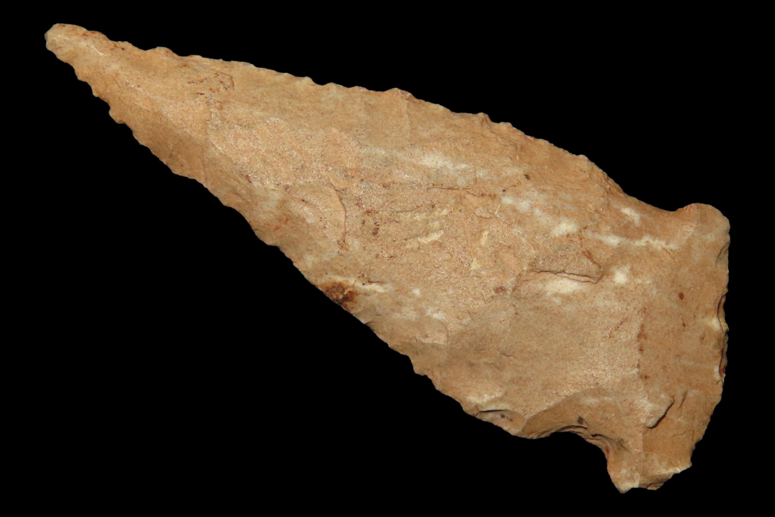 2 7/16" Serratede Boggy Branch found in Northern Alabama. Indian Arrowhead, Artifact.