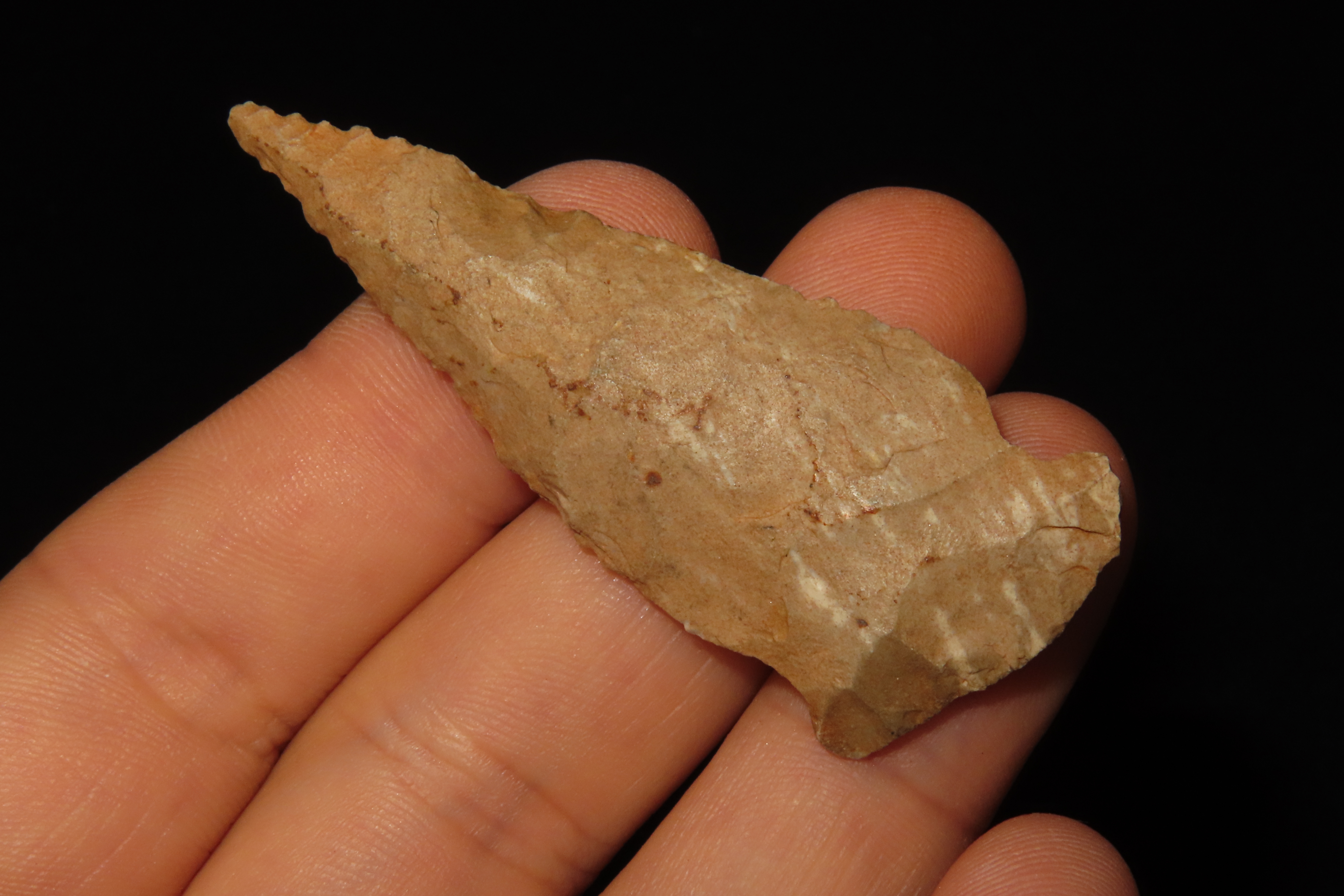 2 7/16" Serratede Boggy Branch found in Northern Alabama. Indian Arrowhead, Artifact.