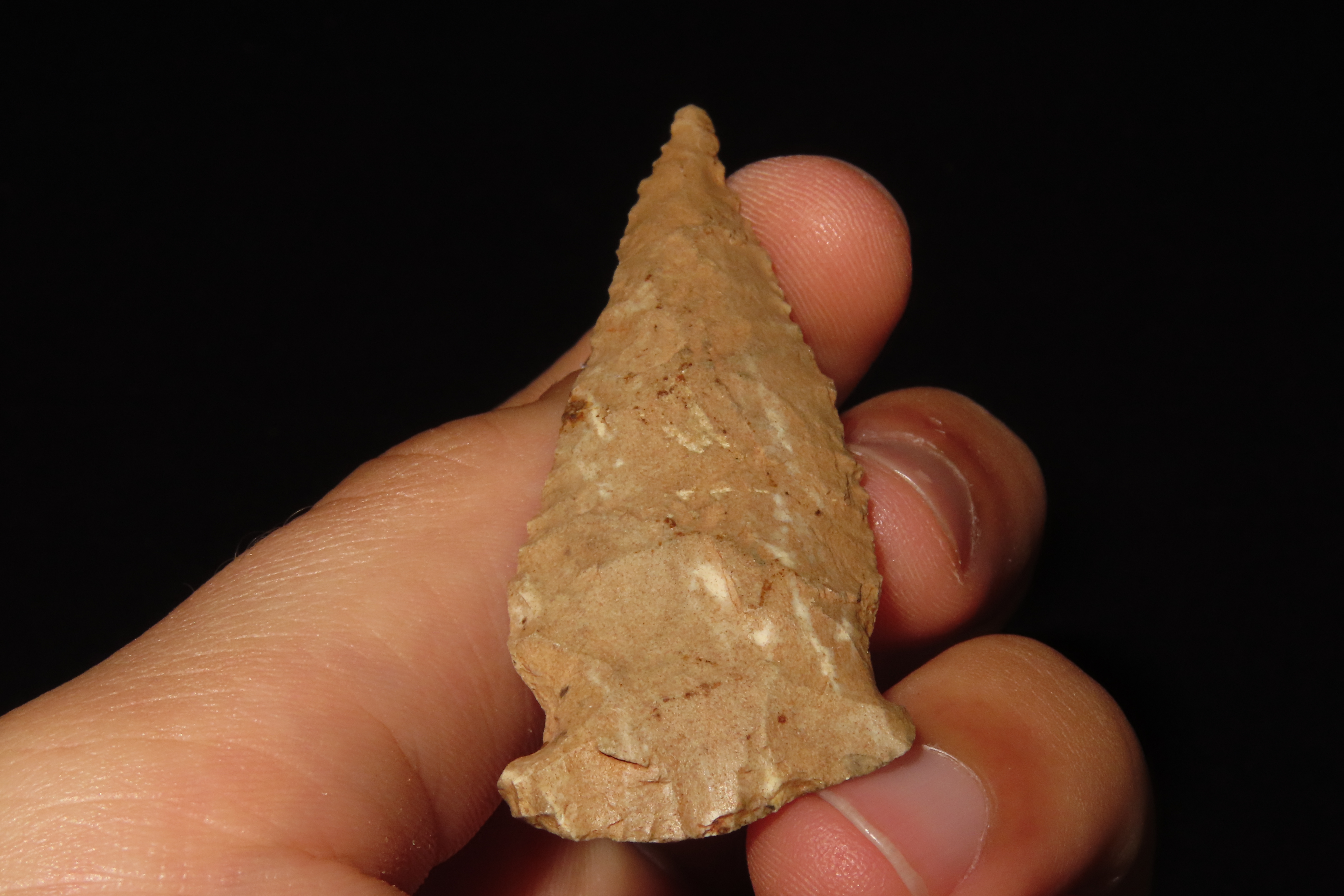 2 7/16" Serratede Boggy Branch found in Northern Alabama. Indian Arrowhead, Artifact.