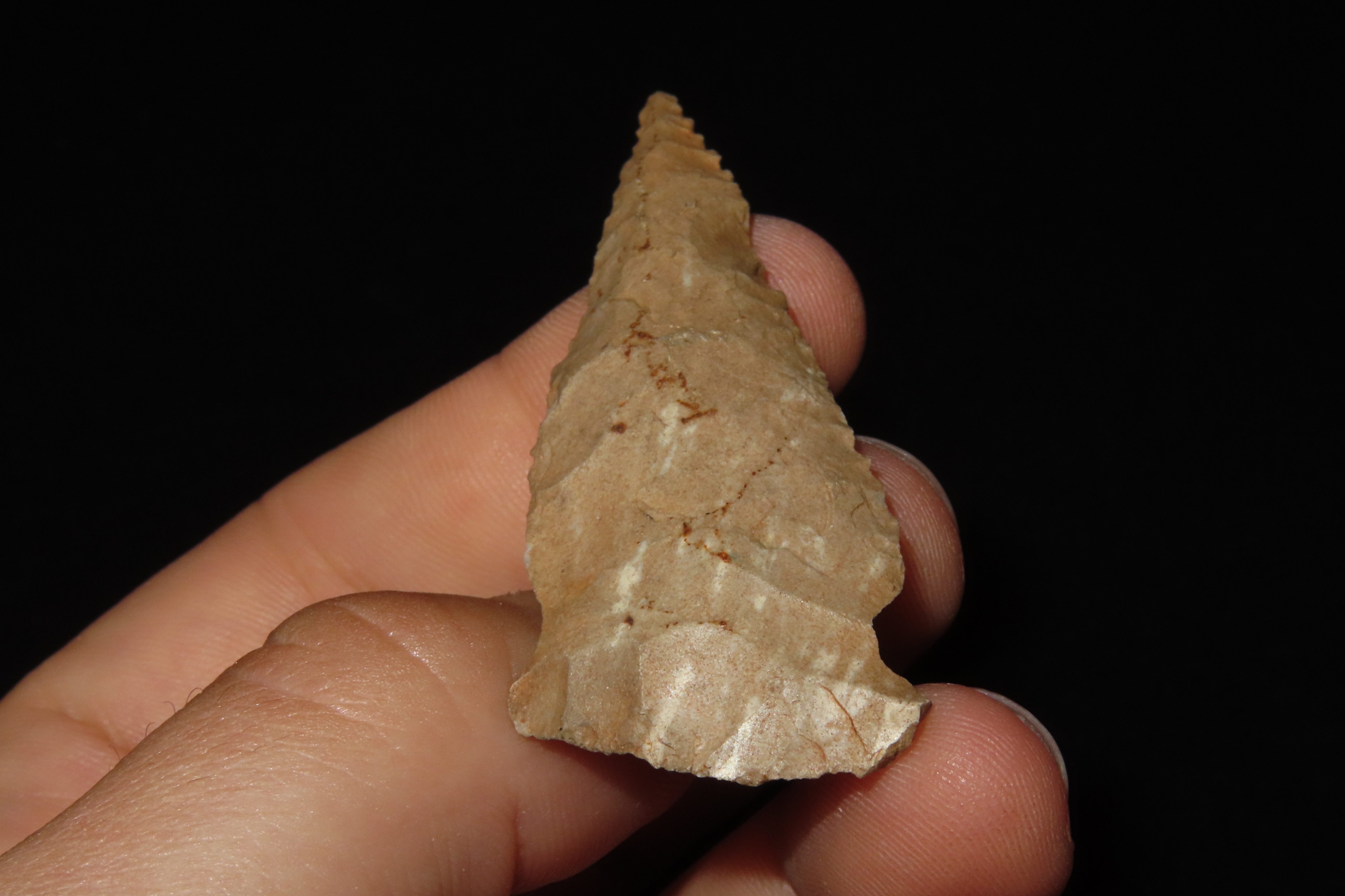 2 7/16" Serratede Boggy Branch found in Northern Alabama. Indian Arrowhead, Artifact.