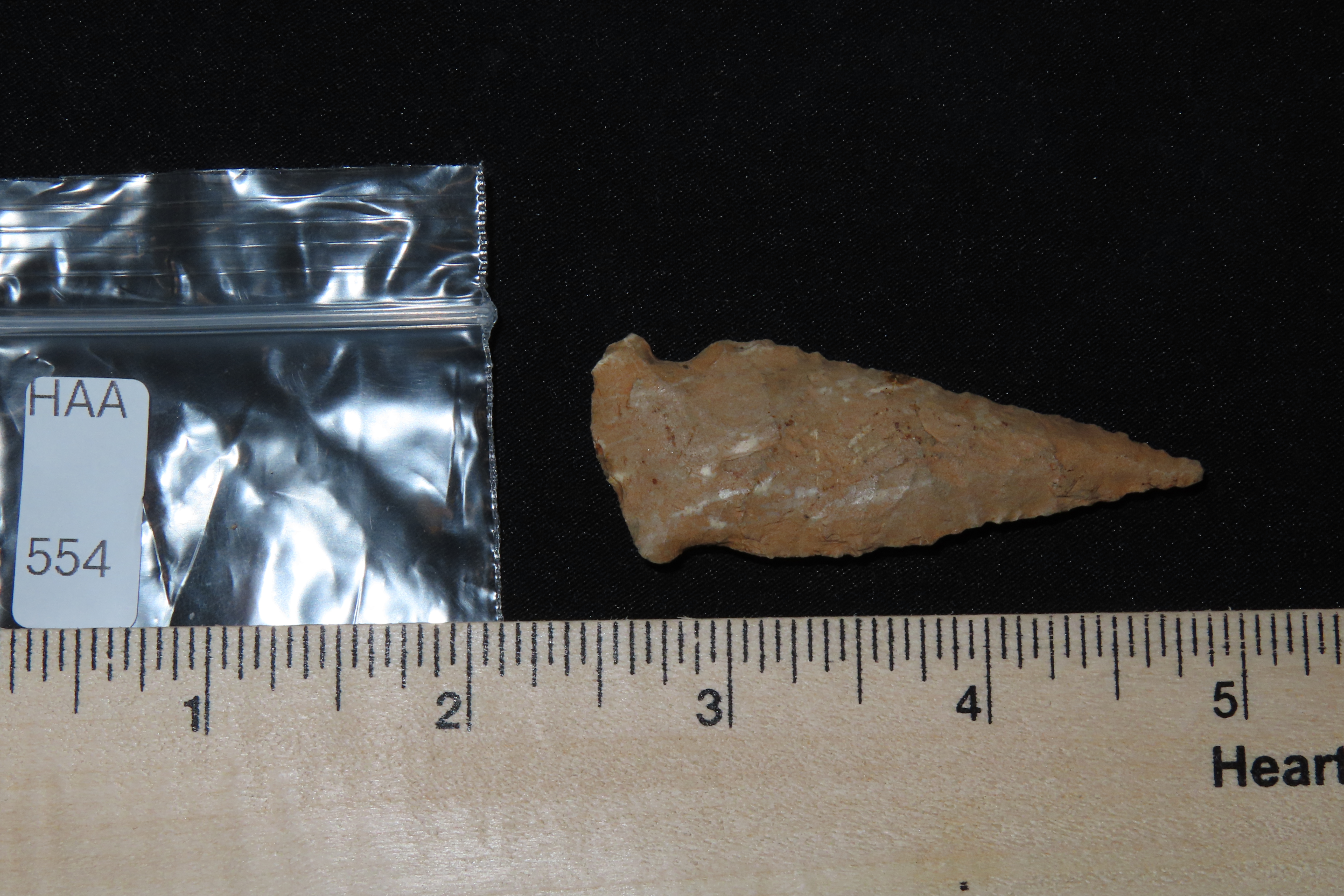 2 7/16" Serratede Boggy Branch found in Northern Alabama. Indian Arrowhead, Artifact.