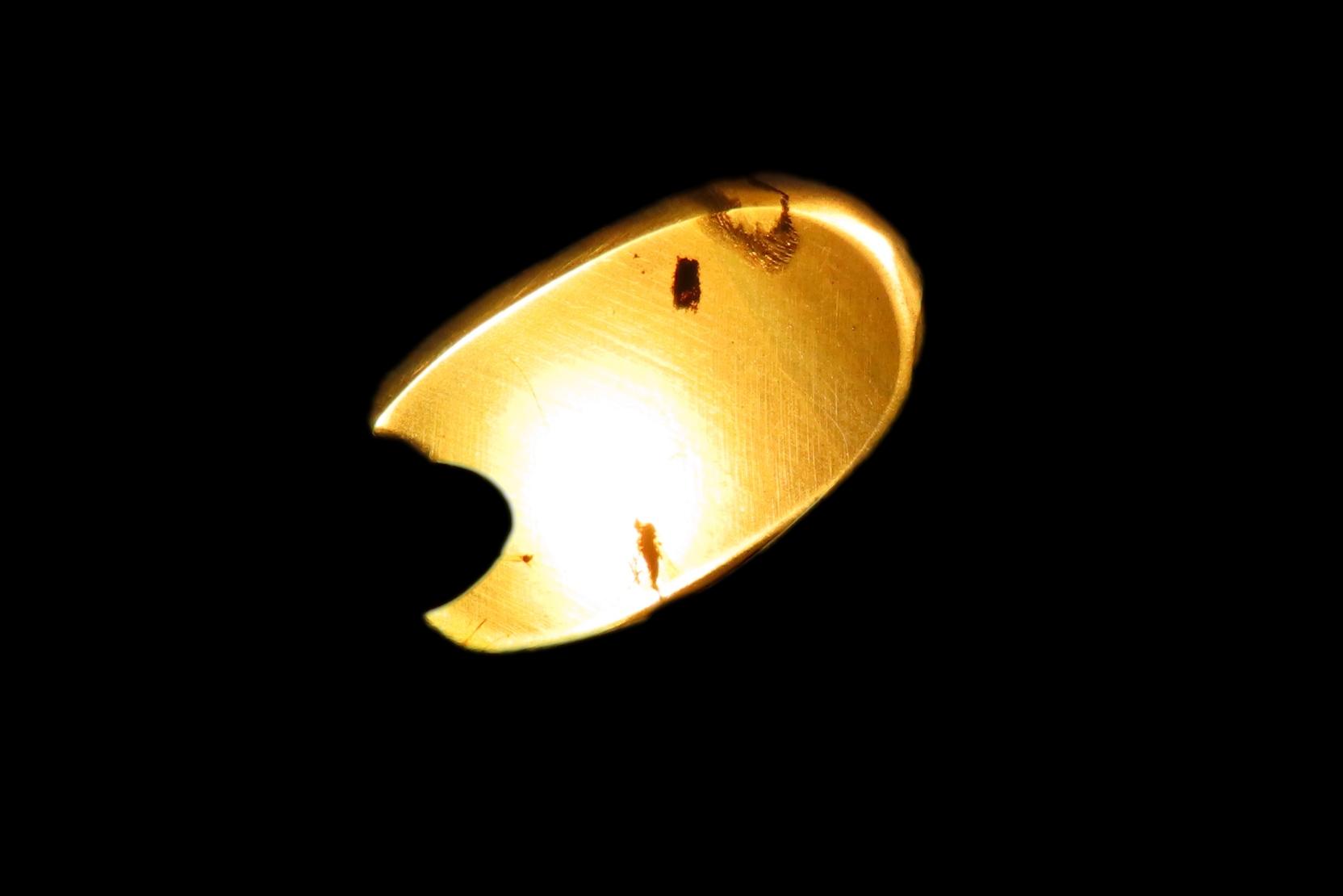 Fossil Amber with Encased Insect, Great Specimen with Easily Visible Bug. 100 Million Years Old, from the Hukawng Valley, Burma-Myanmar. Bur