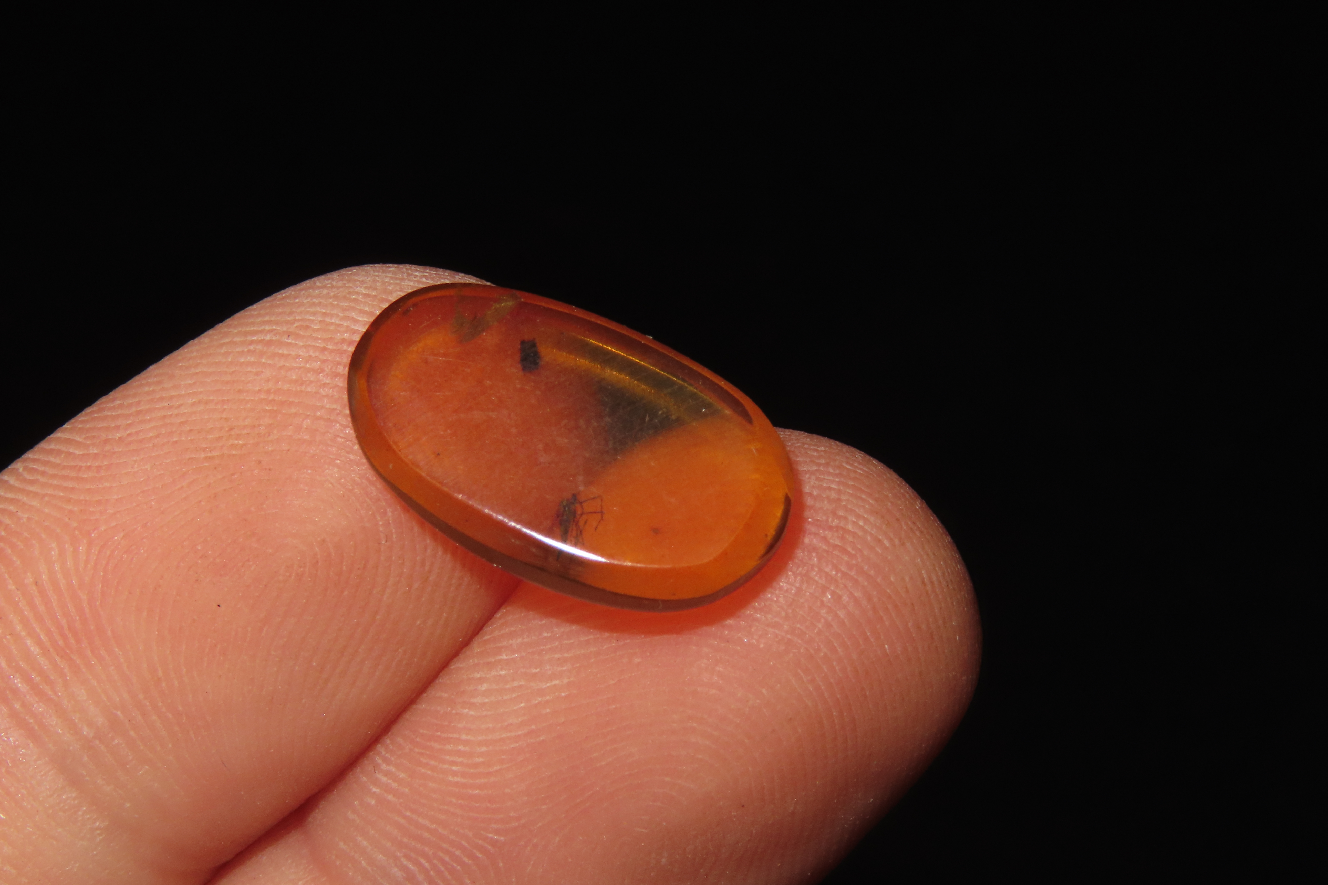 Fossil Amber with Encased Insect, Great Specimen with Easily Visible Bug. 100 Million Years Old, from the Hukawng Valley, Burma-Myanmar. Bur