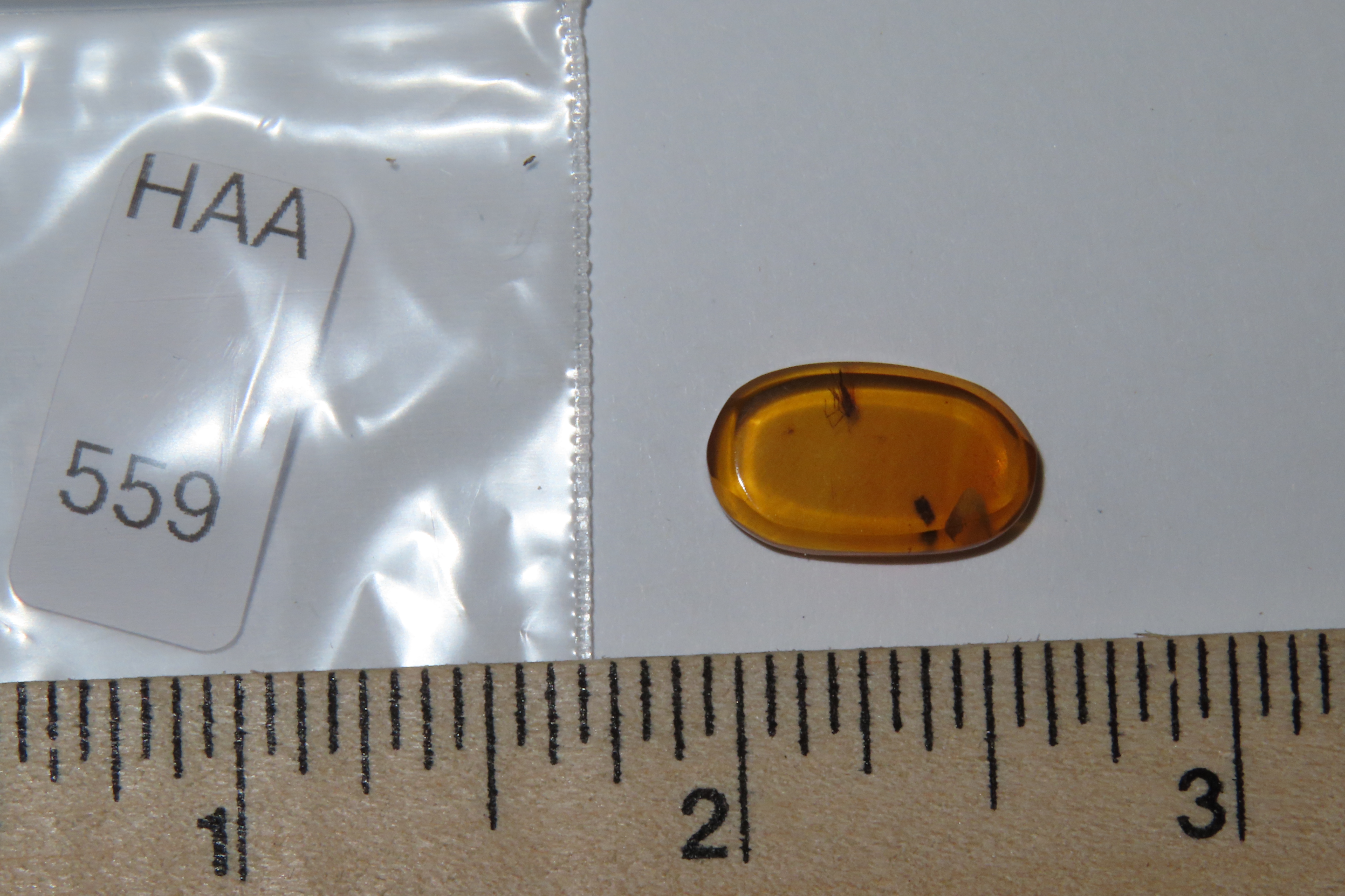 Fossil Amber with Encased Insect, Great Specimen with Easily Visible Bug. 100 Million Years Old, from the Hukawng Valley, Burma-Myanmar. Bur