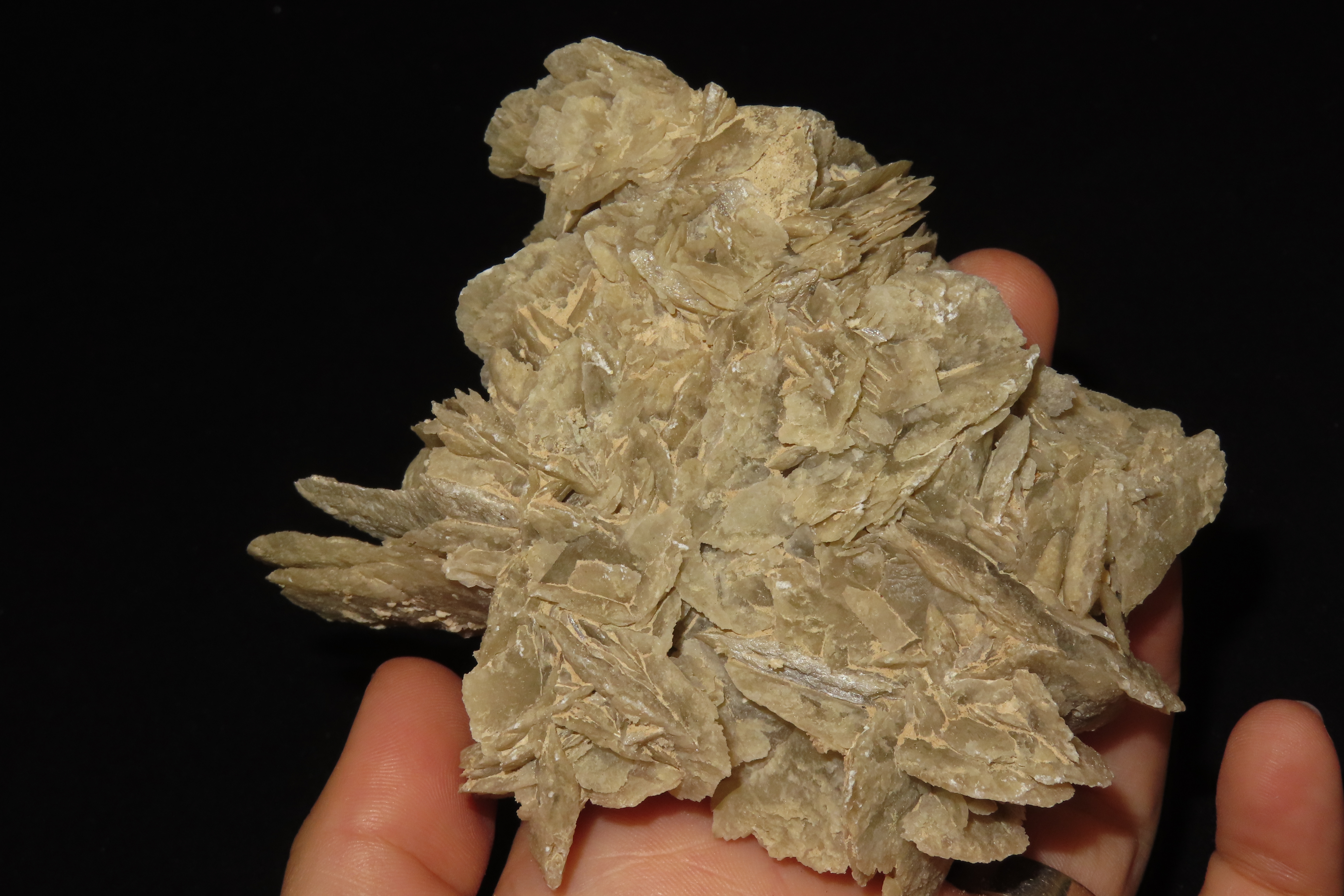 Beautiful Gypsum Celenite Crystal Cluster. Great Display piece.