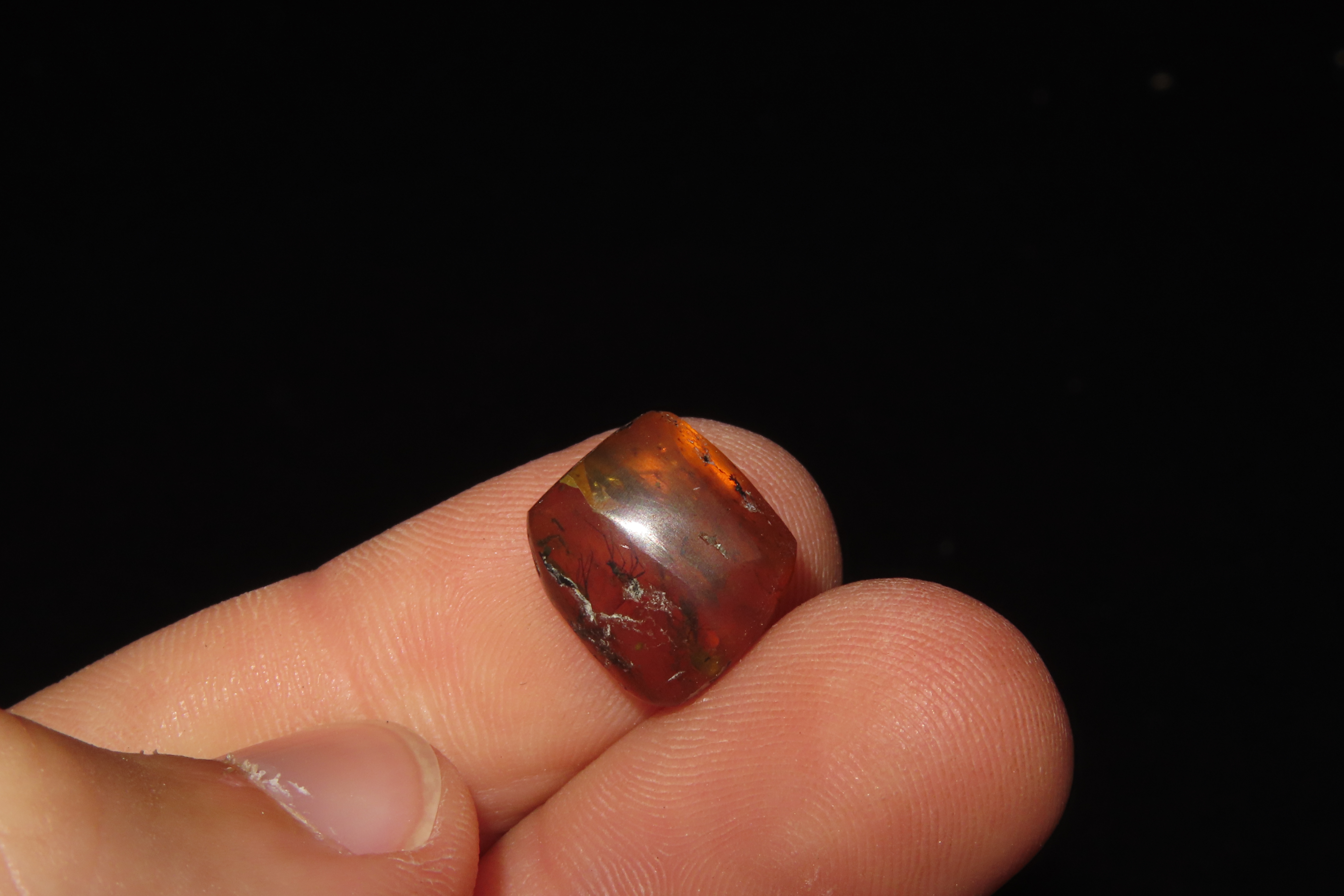 Fossil Amber with Multiple Encased Insects, Great Specimen with Easily Visible Bugs. 100 Million Years Old, from the Hukawng Valley, Burma-M