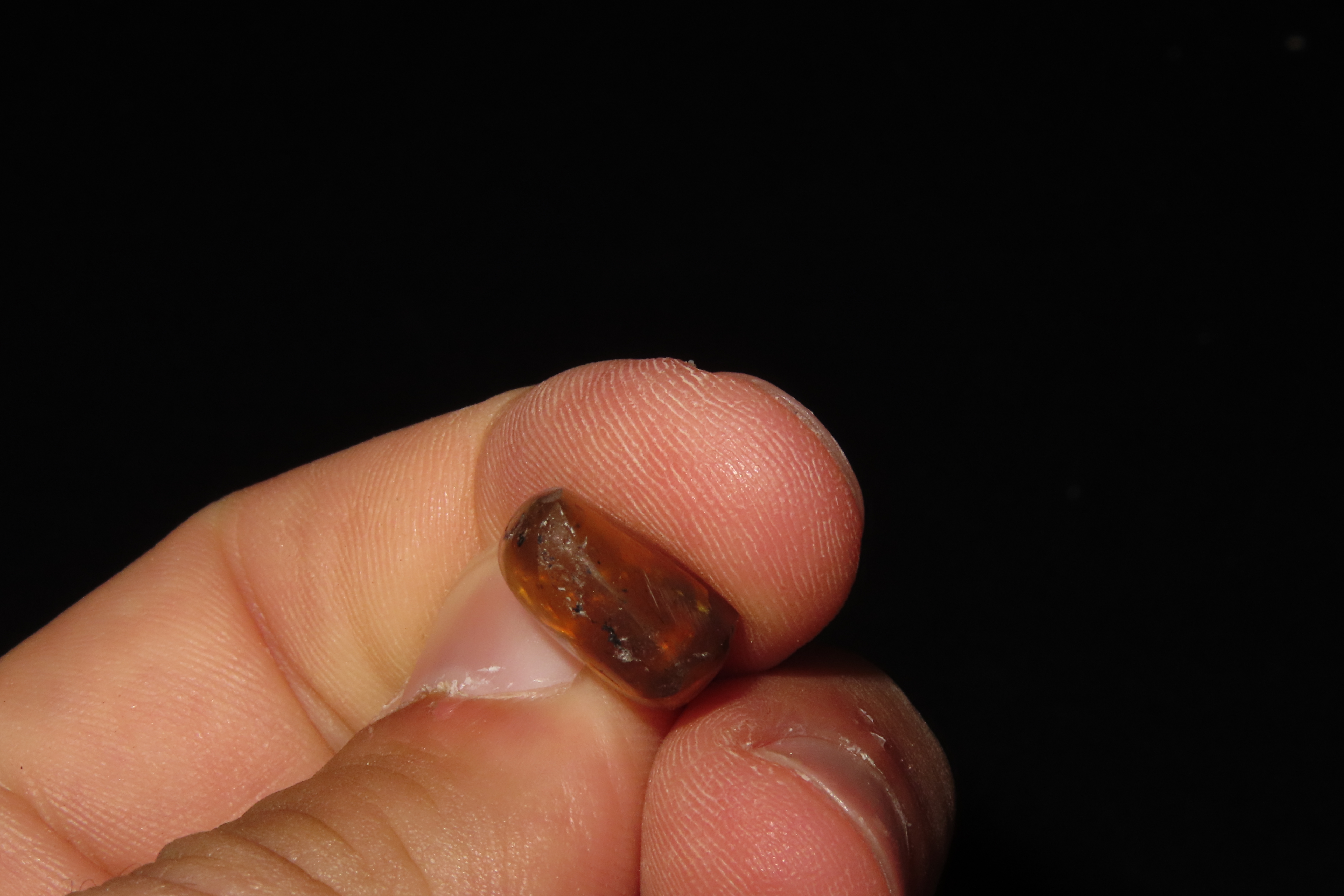 Fossil Amber with Multiple Encased Insects, Great Specimen with Easily Visible Bugs. 100 Million Years Old, from the Hukawng Valley, Burma-M