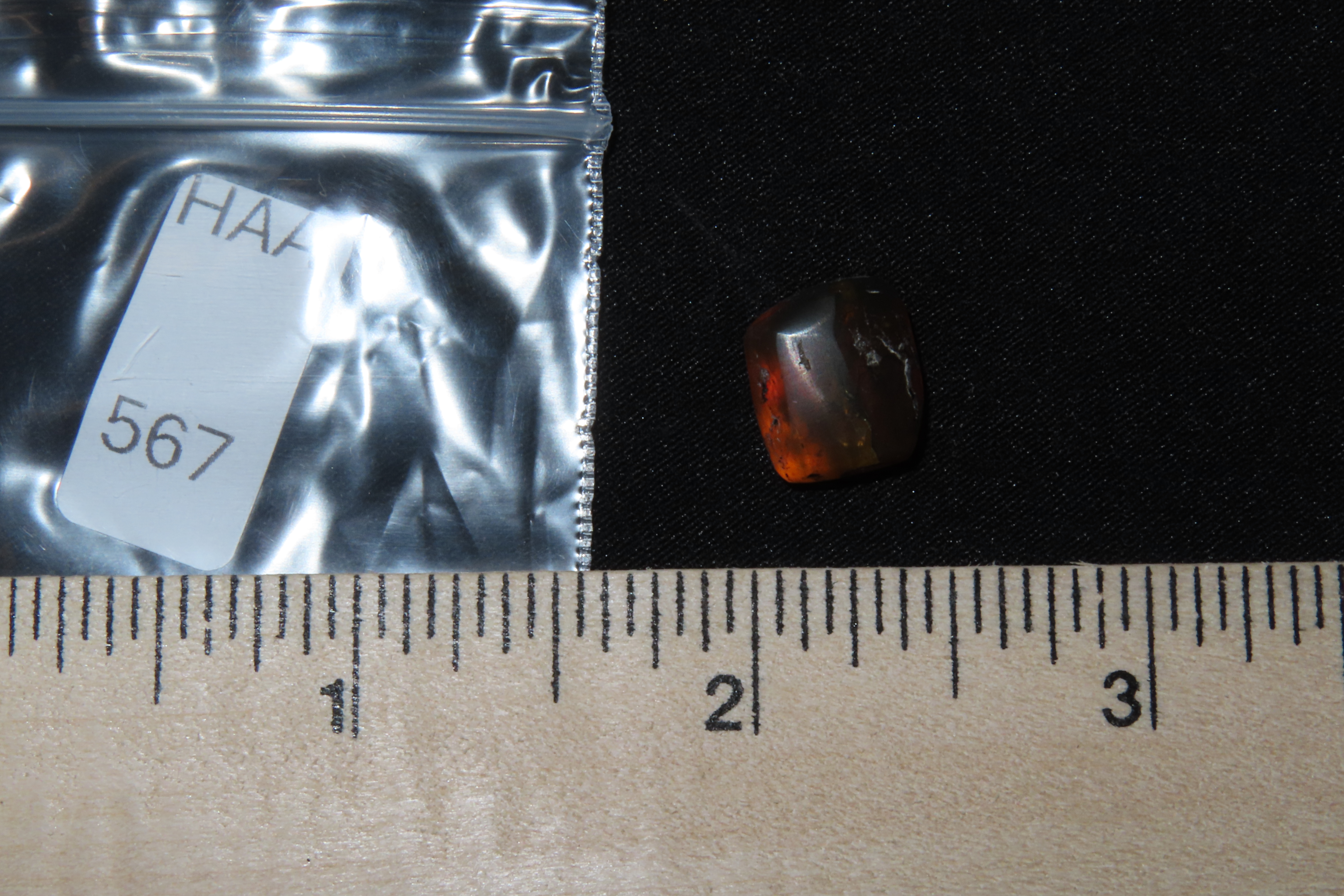 Fossil Amber with Multiple Encased Insects, Great Specimen with Easily Visible Bugs. 100 Million Years Old, from the Hukawng Valley, Burma-M