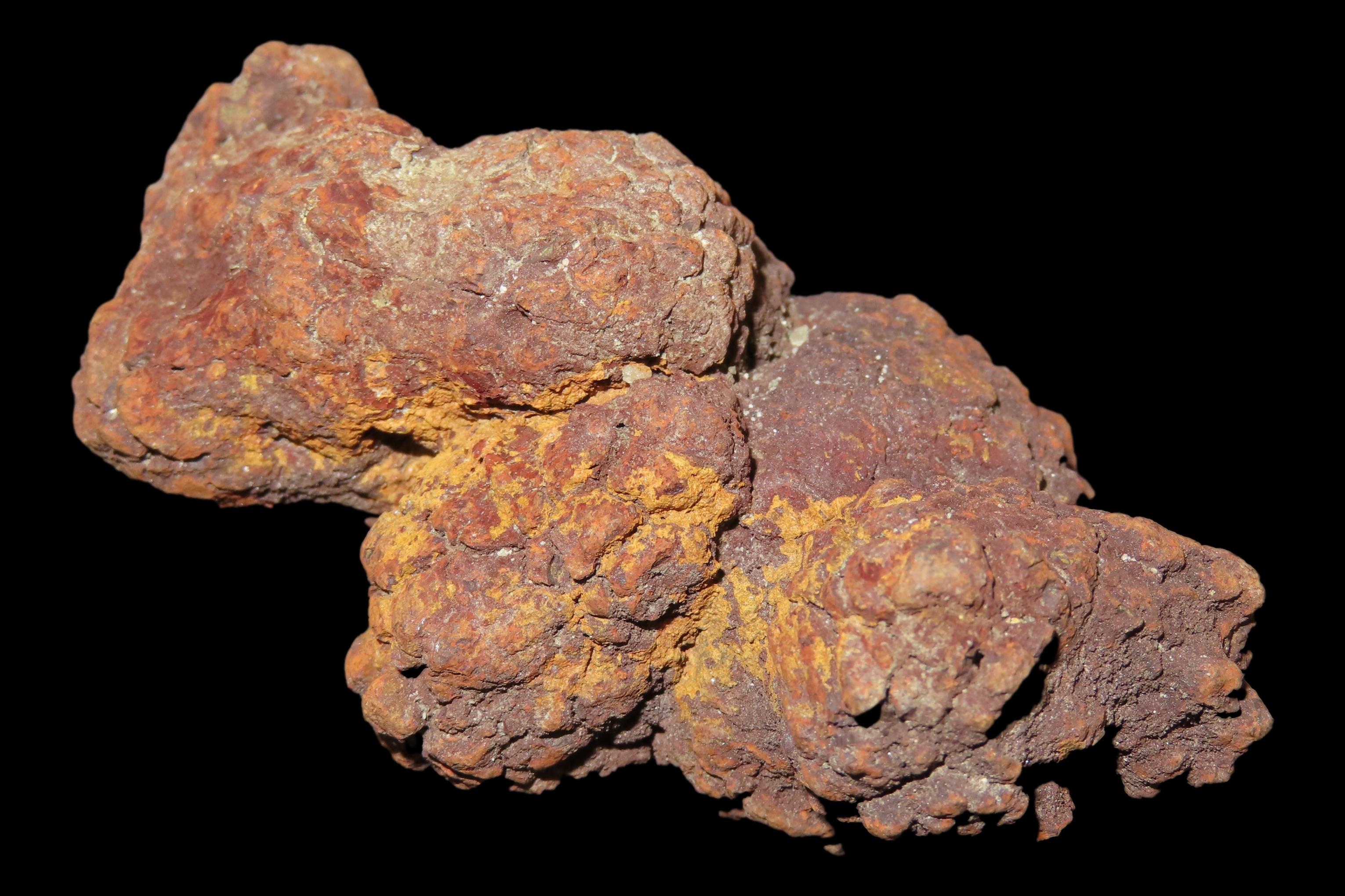 Large Dinosaur Poop Fossil, Coprolite, Appr. 100 Million Years old Fossilized Dino Dung, Great Well Formed Example!