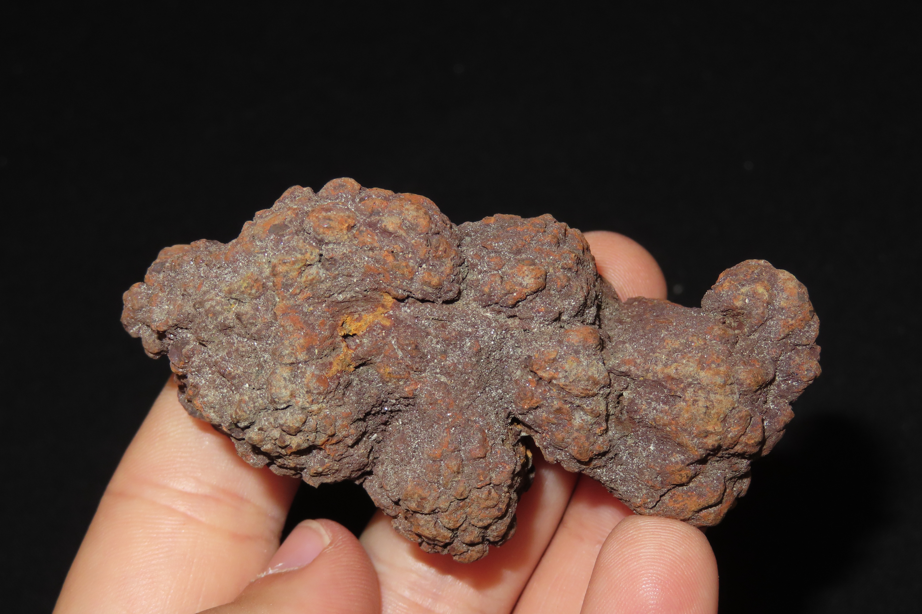 Large Dinosaur Poop Fossil, Coprolite, Appr. 100 Million Years old Fossilized Dino Dung, Great Well Formed Example!