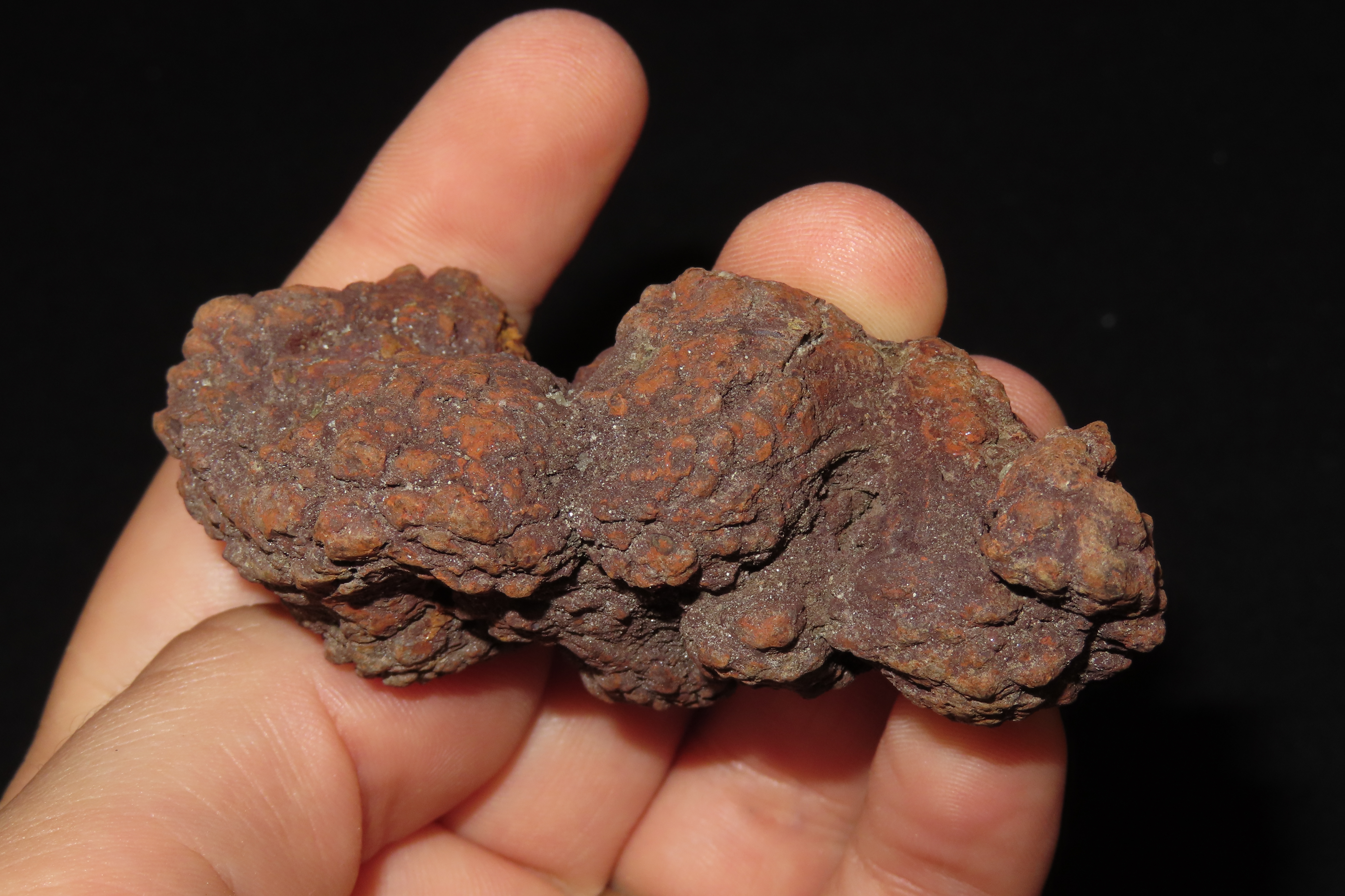 Large Dinosaur Poop Fossil, Coprolite, Appr. 100 Million Years old Fossilized Dino Dung, Great Well Formed Example!