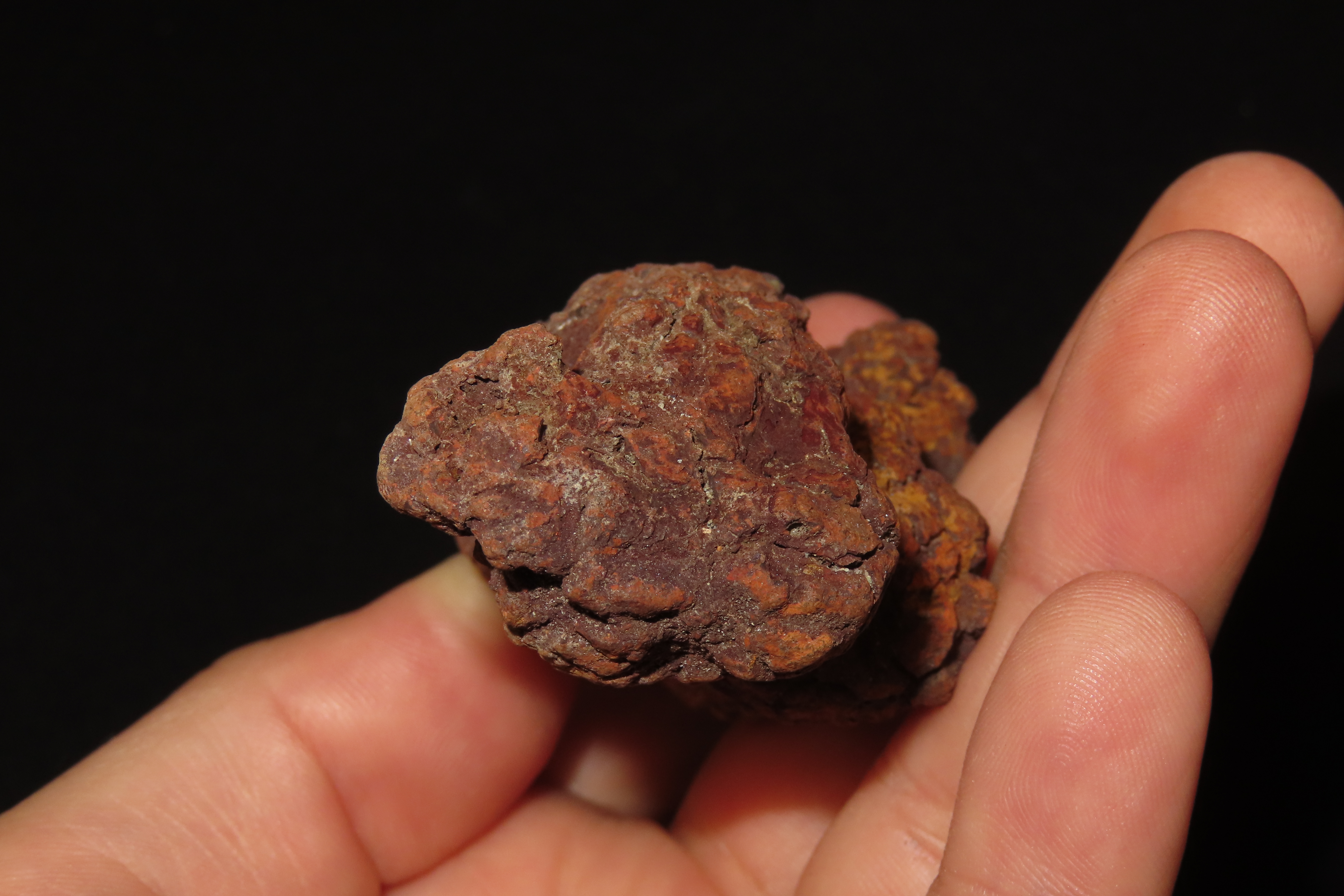Large Dinosaur Poop Fossil, Coprolite, Appr. 100 Million Years old Fossilized Dino Dung, Great Well Formed Example!