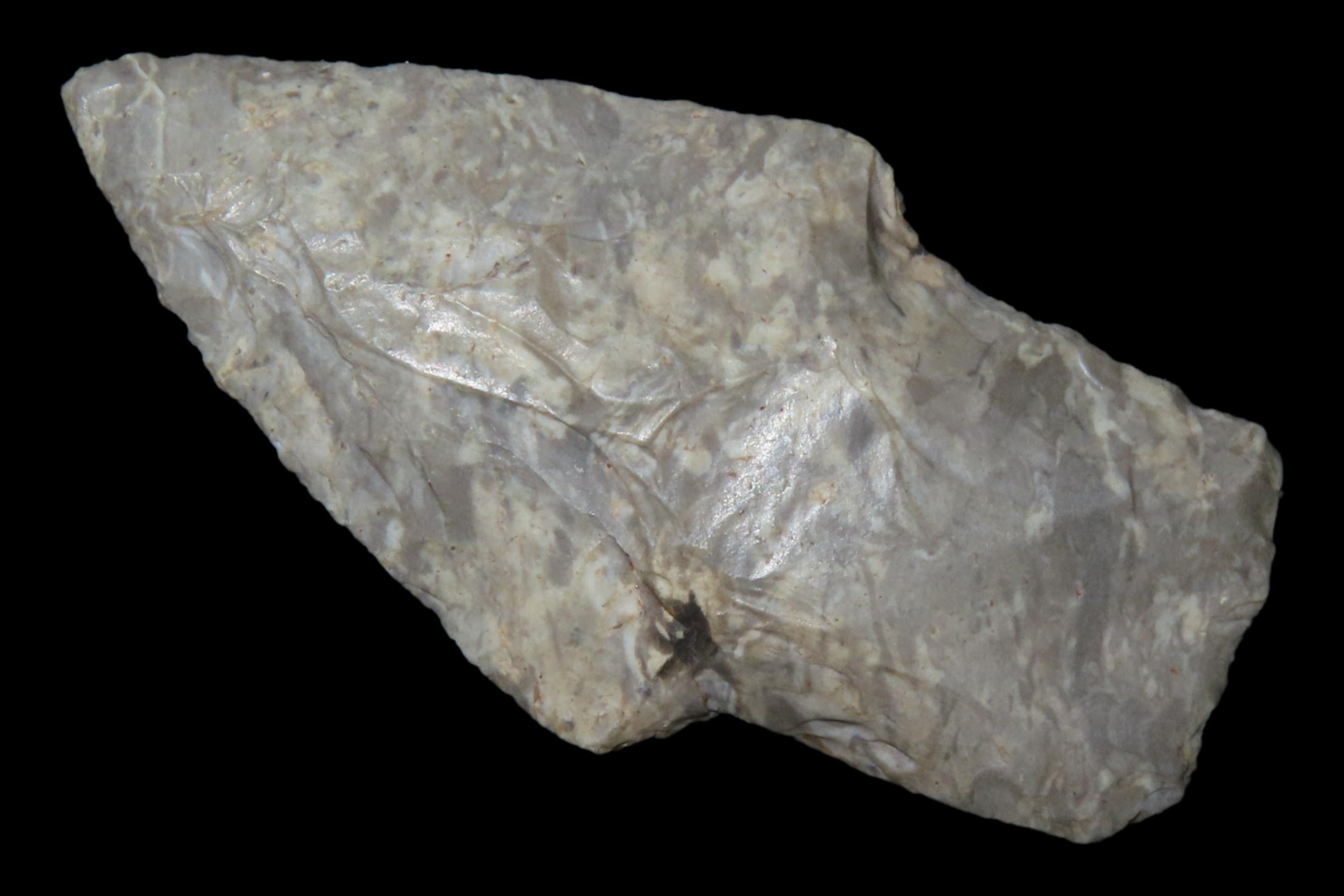 Colorful Scottsbluff found in Oklahoma. Diamond Cross Section, Nicely ground basal Edges. Great Color and amazing patina.
