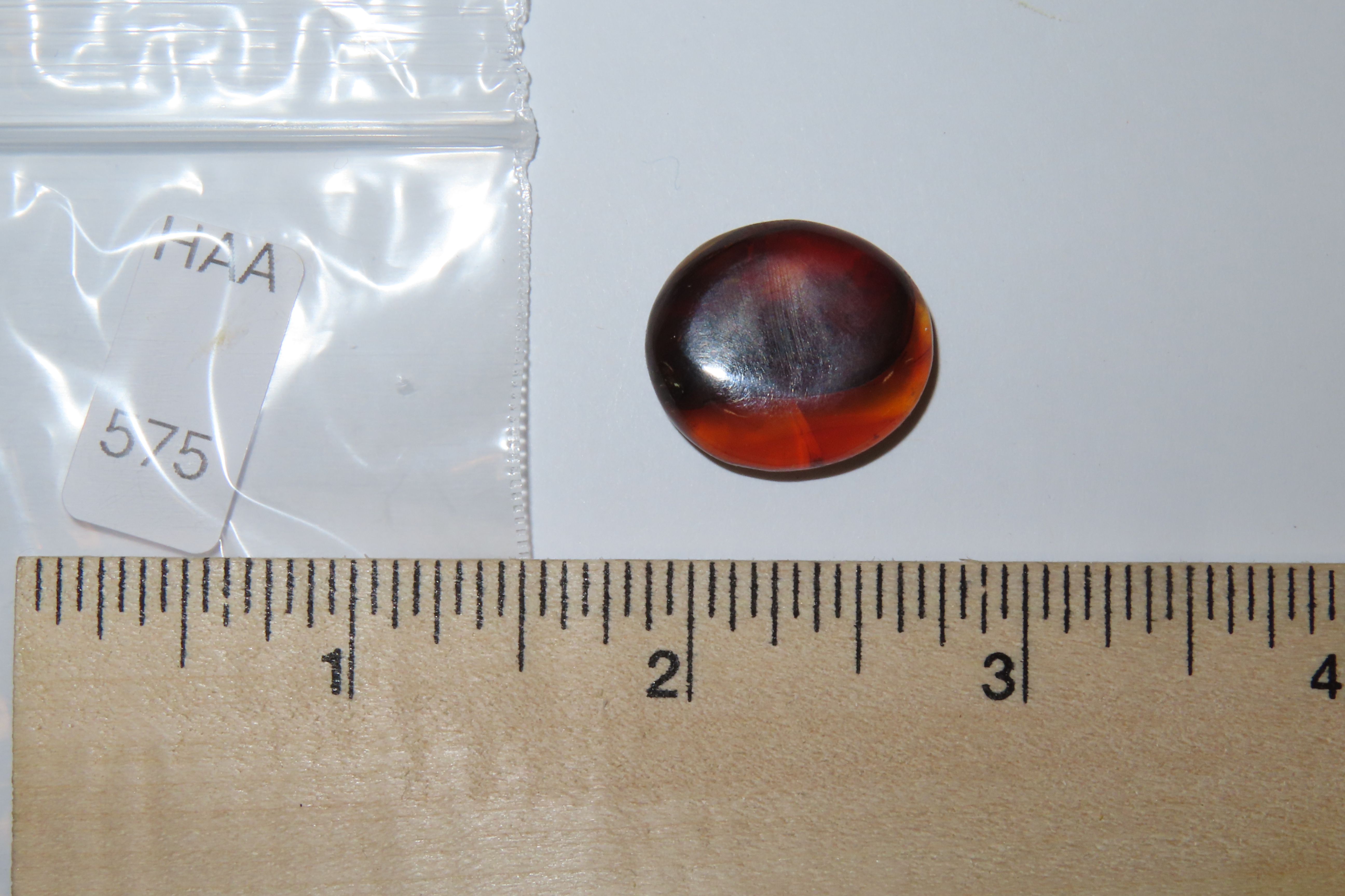 Fossil Amber with Encased Insect, Great Specimen with Easily Visible Bug. 100 Million Years Old, from the Hukawng Valley, Burma-Myanmar. Bur